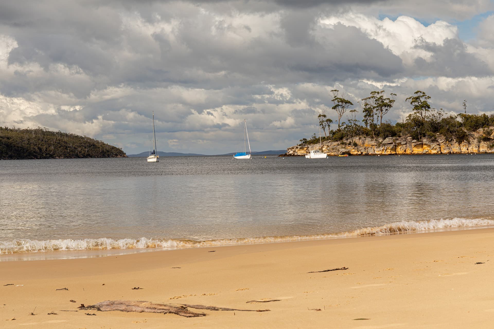 Hobart City Explorer Tour - image 6