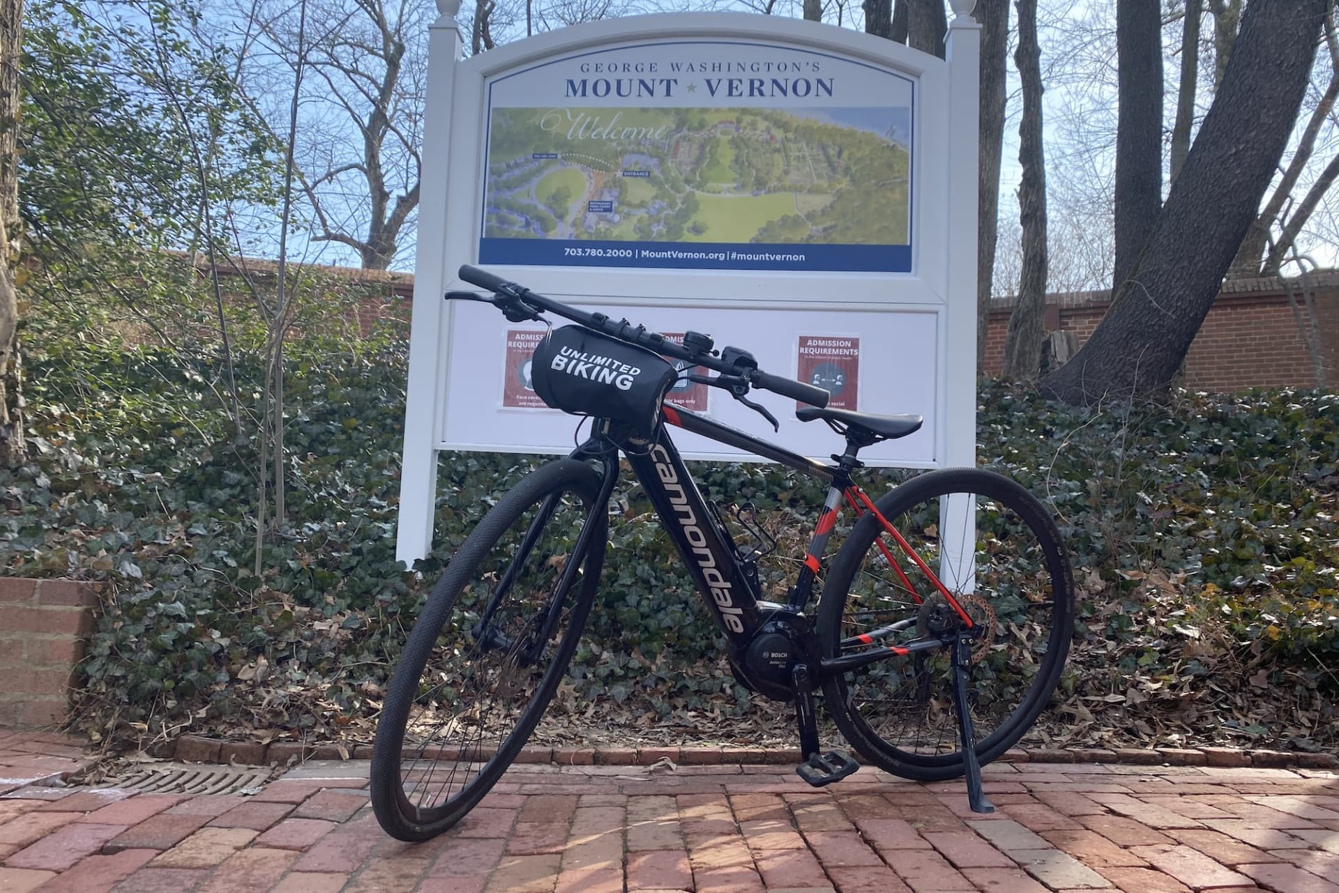 Washington DC Bike Rental at Old Town Alexandria - imagen 7