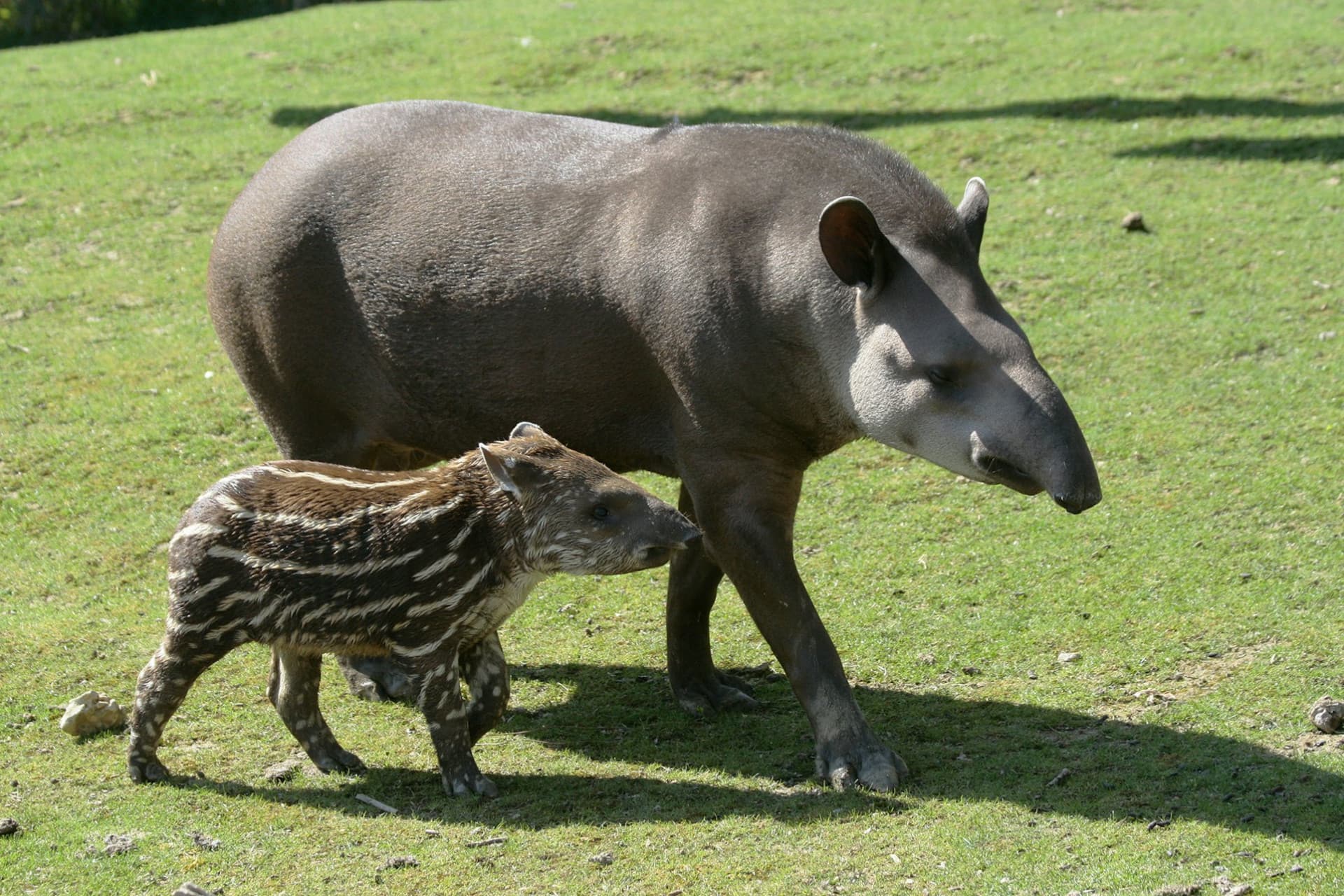 ZooParc de Beauval Ticket - 이미지 9