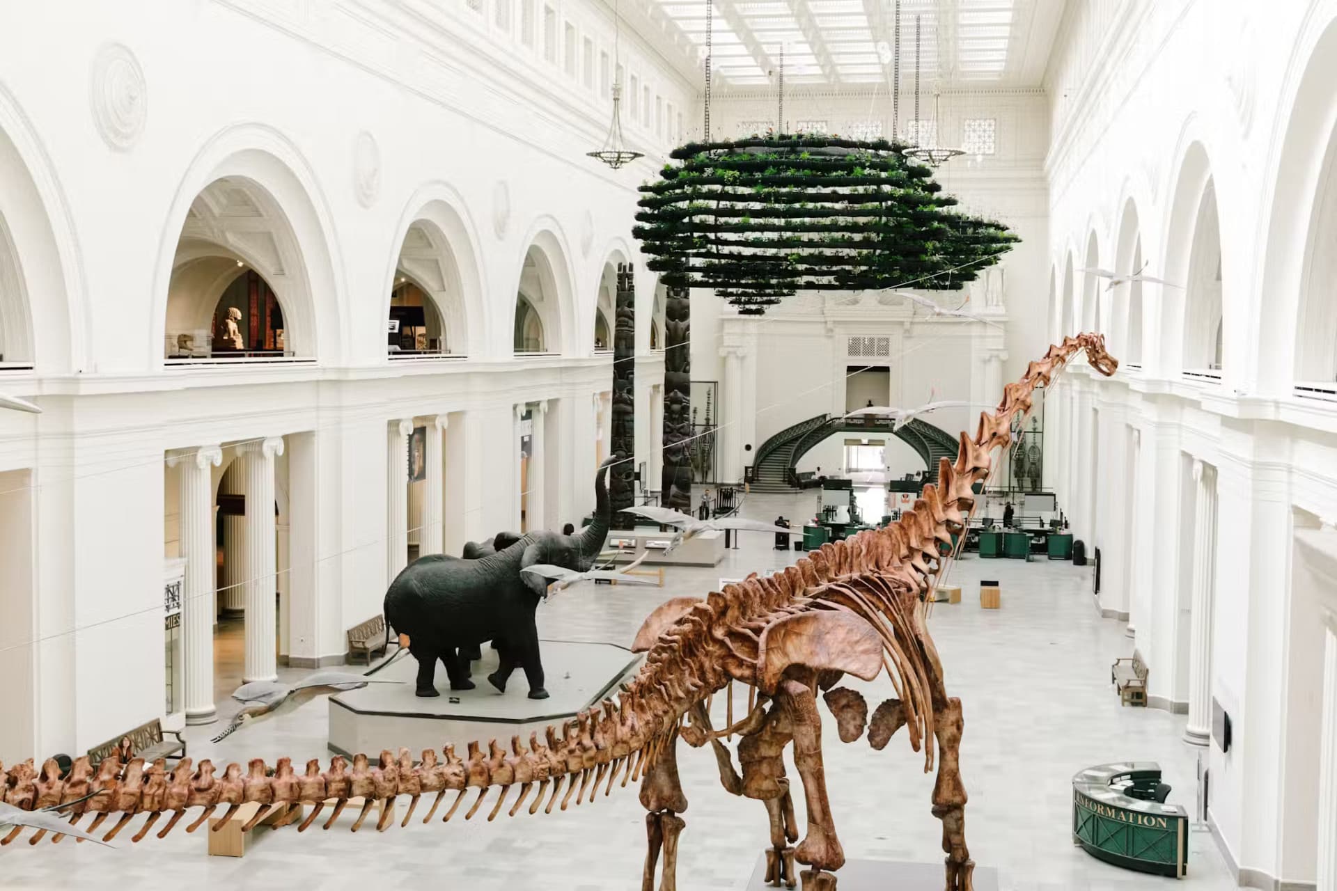 Chicago CityPASS: Admission to 5 Top Attractions - image 4