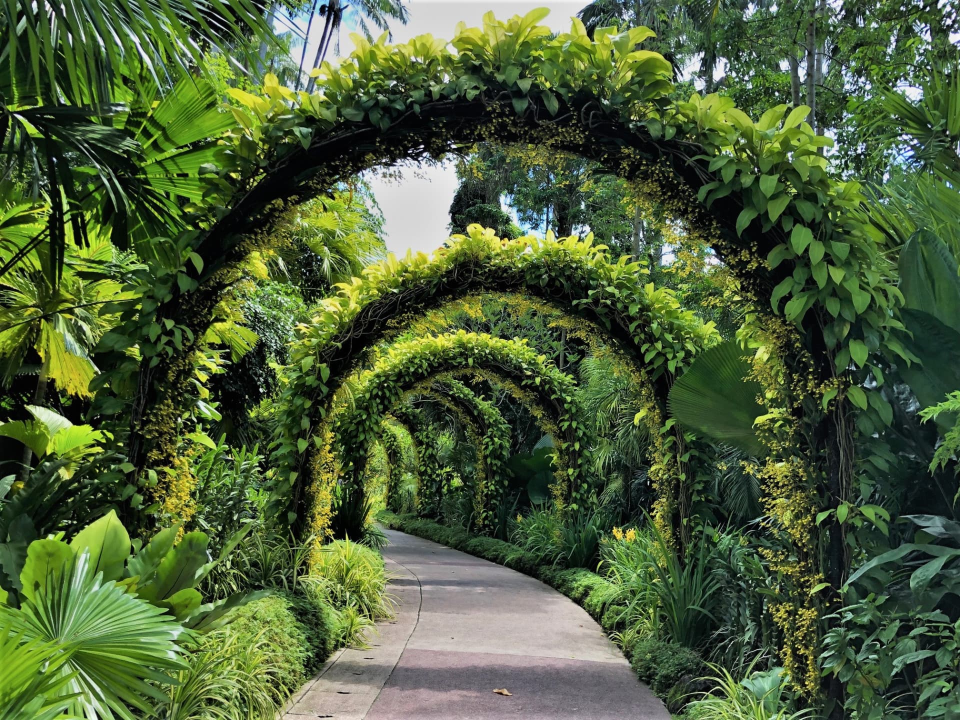 National Orchid Garden Ticket - image 13