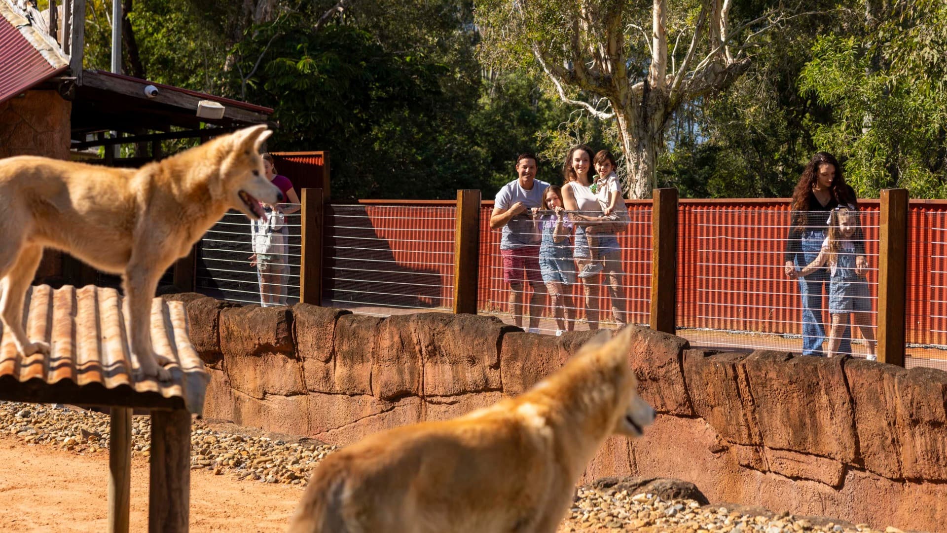 Dreamworld, WhiteWater World, and SkyPoint Gold Coast Multi-day Ticket - image 7