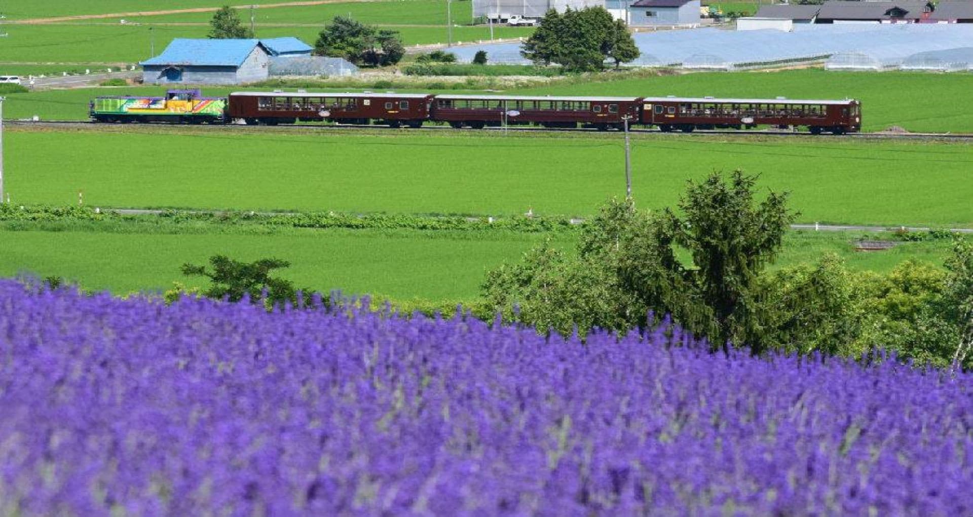 Hokkaido Sapporo-Noboribetsu Area Pass - image 3