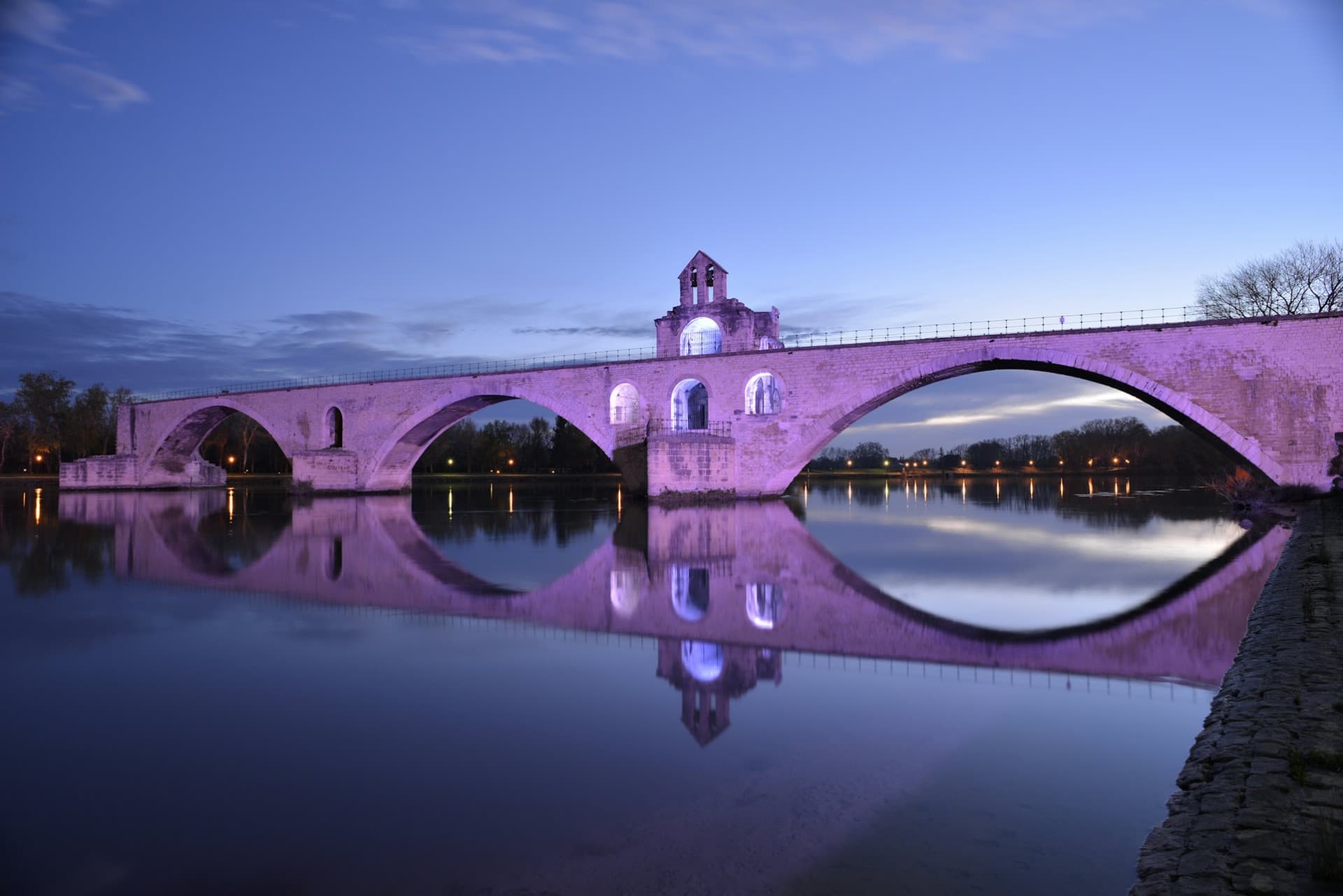 Palace of the Popes and Pont d’Avignon Ticket - image 3