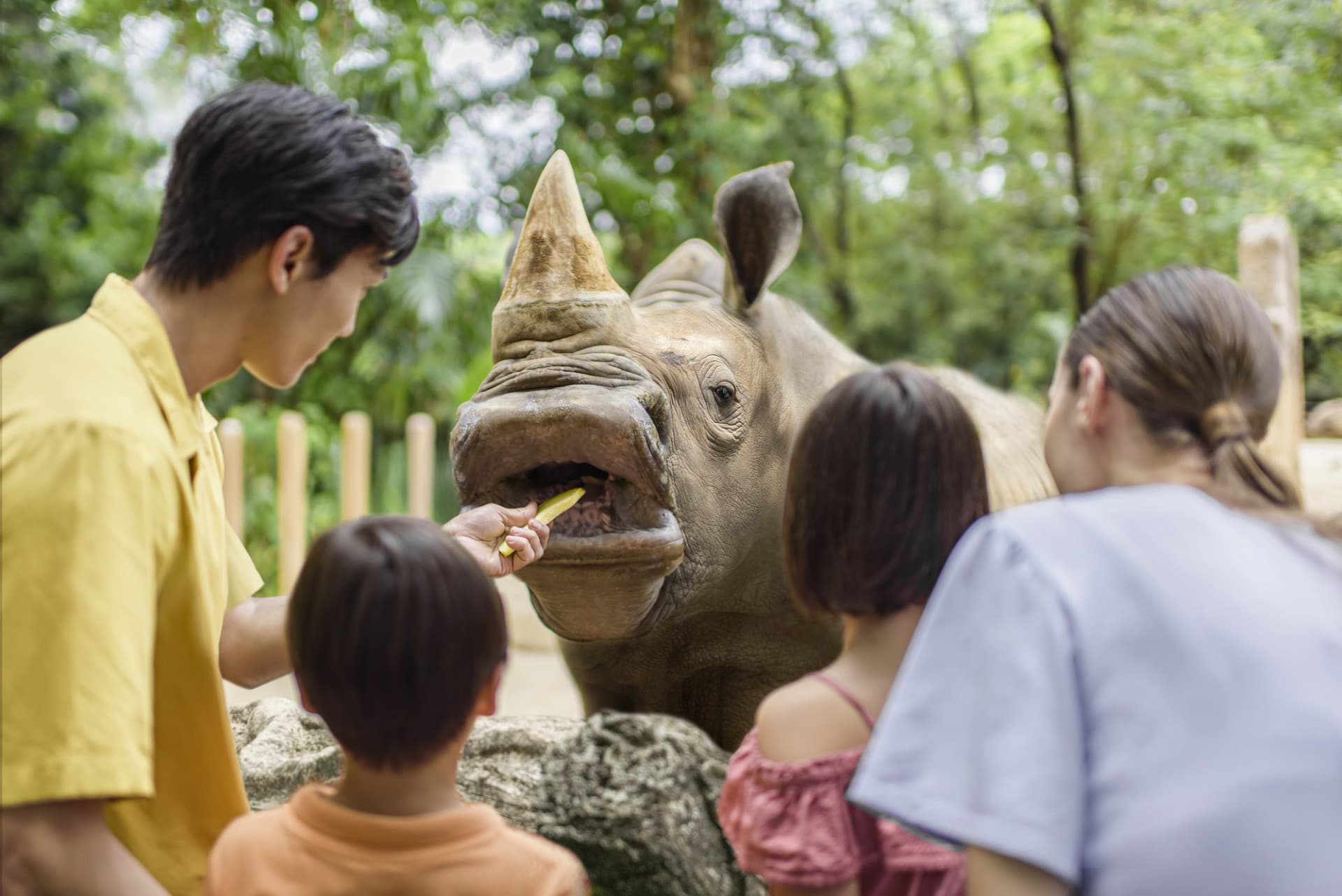 Mandai Destination Pass: Visit Up to 6 Attractions in 1 or 5 Days - image 6