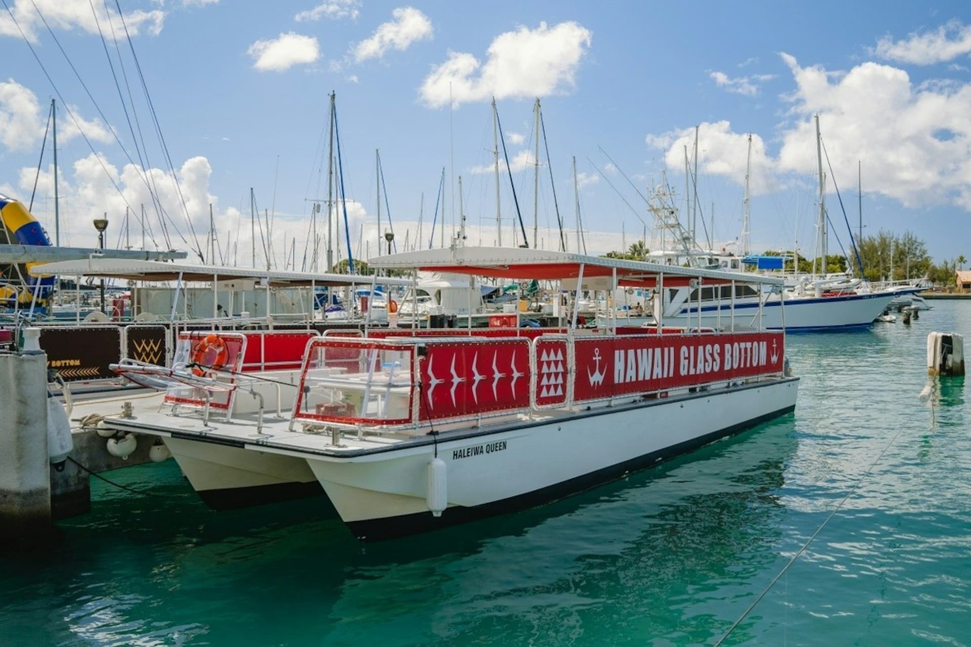 Waikiki: Daytime Glass Bottom Boat Tour - image 6
