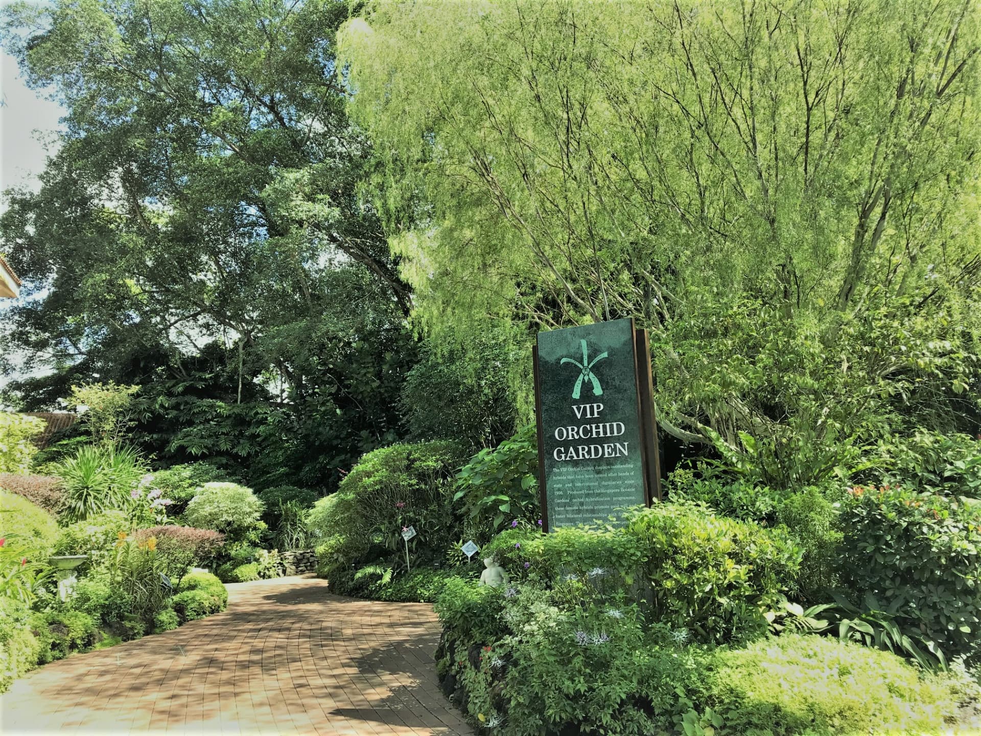 National Orchid Garden Ticket - image 5