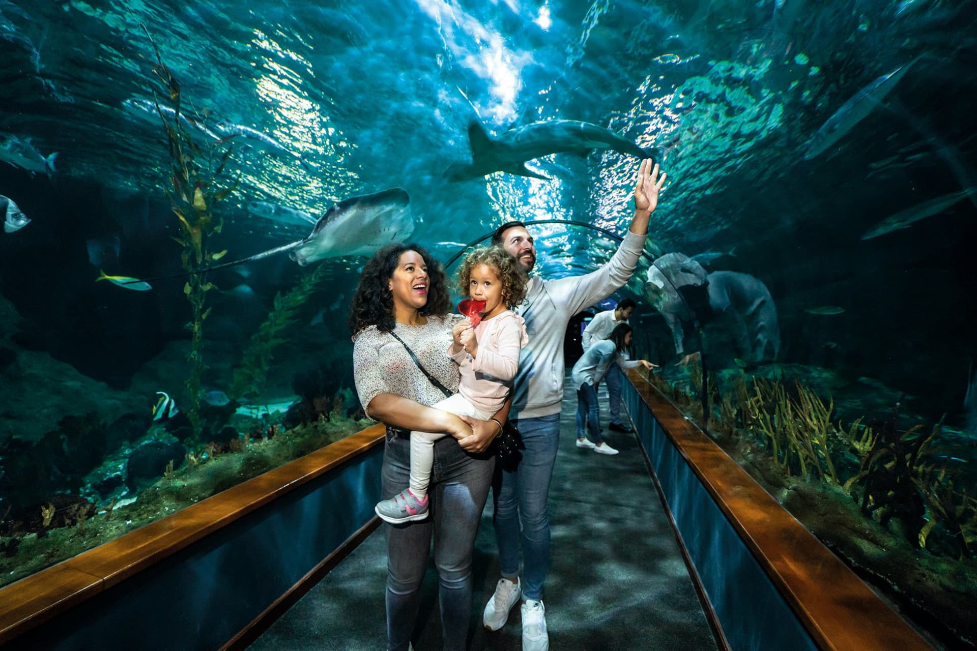 Loro Parque Ticket - main image
