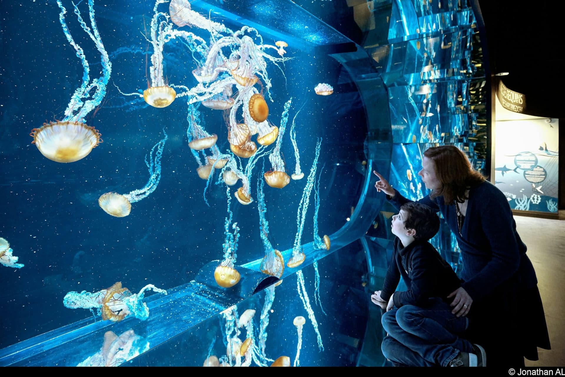 Nausicaa: entrada sin filas - imagen 8