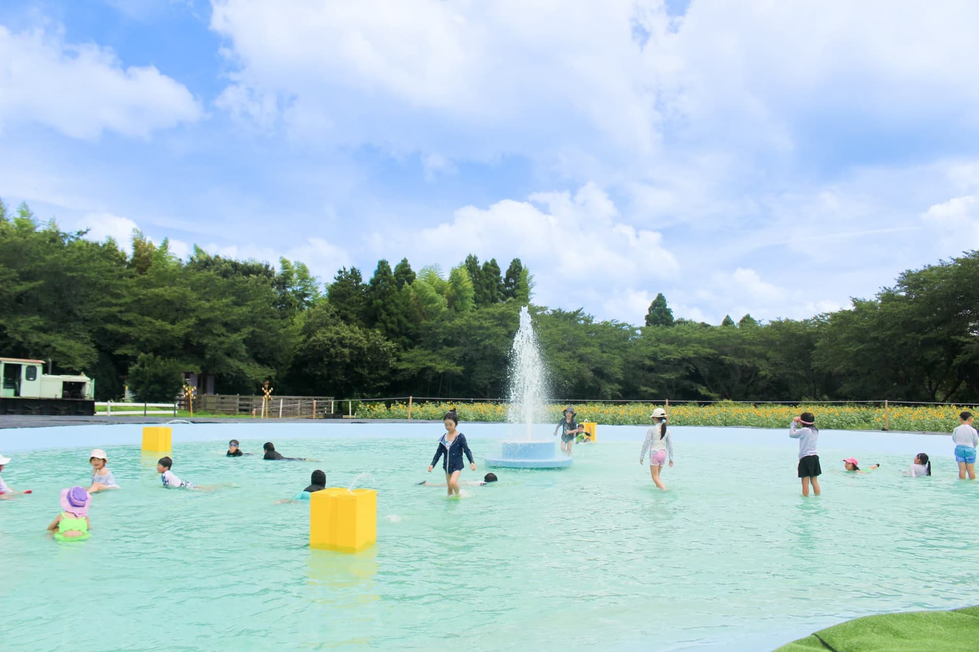 Narita Dream Farm Ticket - image 8