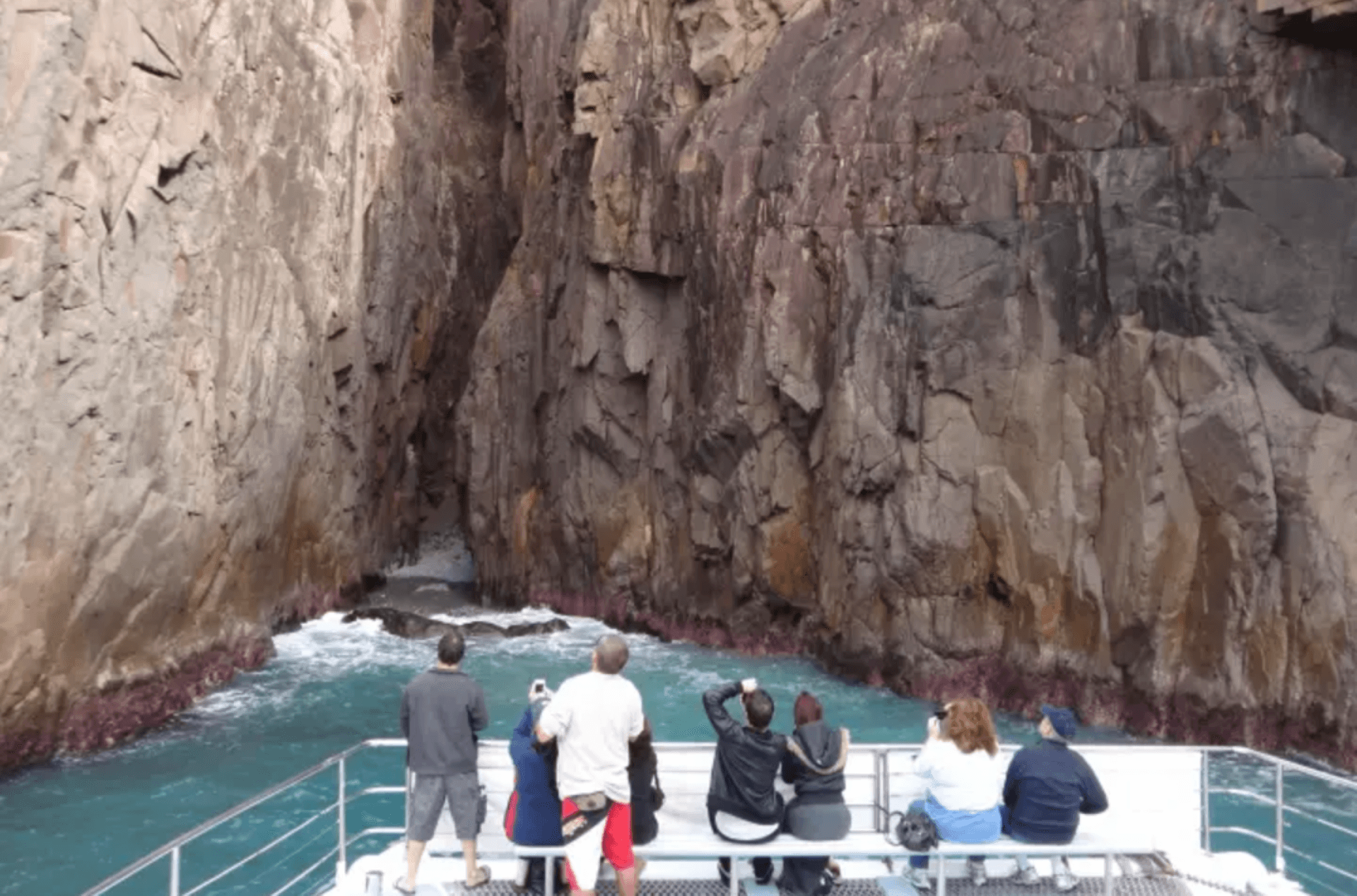 Port Stephens Dolphin Watch and Eco Adventure Cruise - image 3