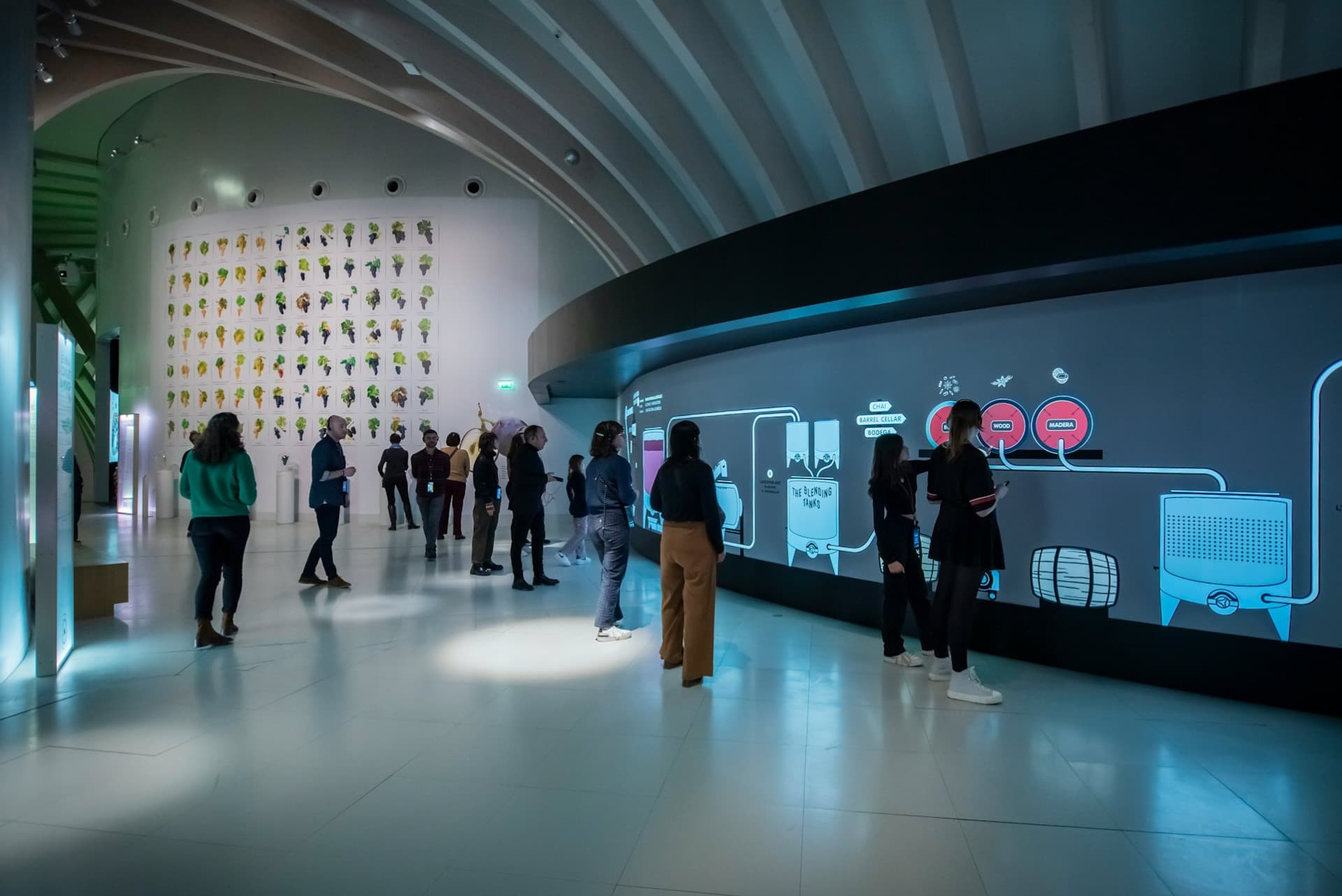 La Cite du Vin: Permanent Exhibition + Belvedere - image 9