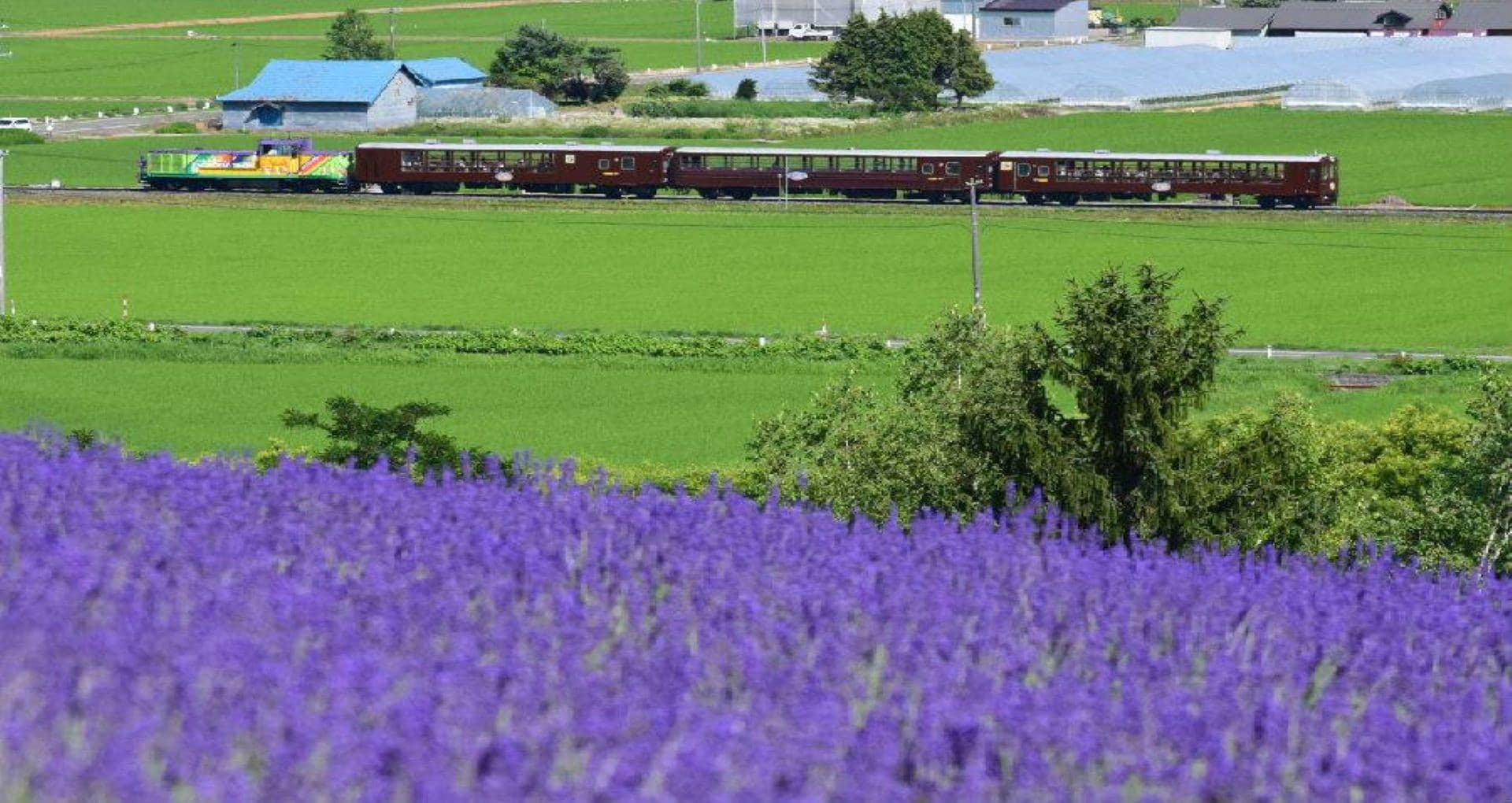 Hokkaido Sapporo-Furano Area Pass - image 3