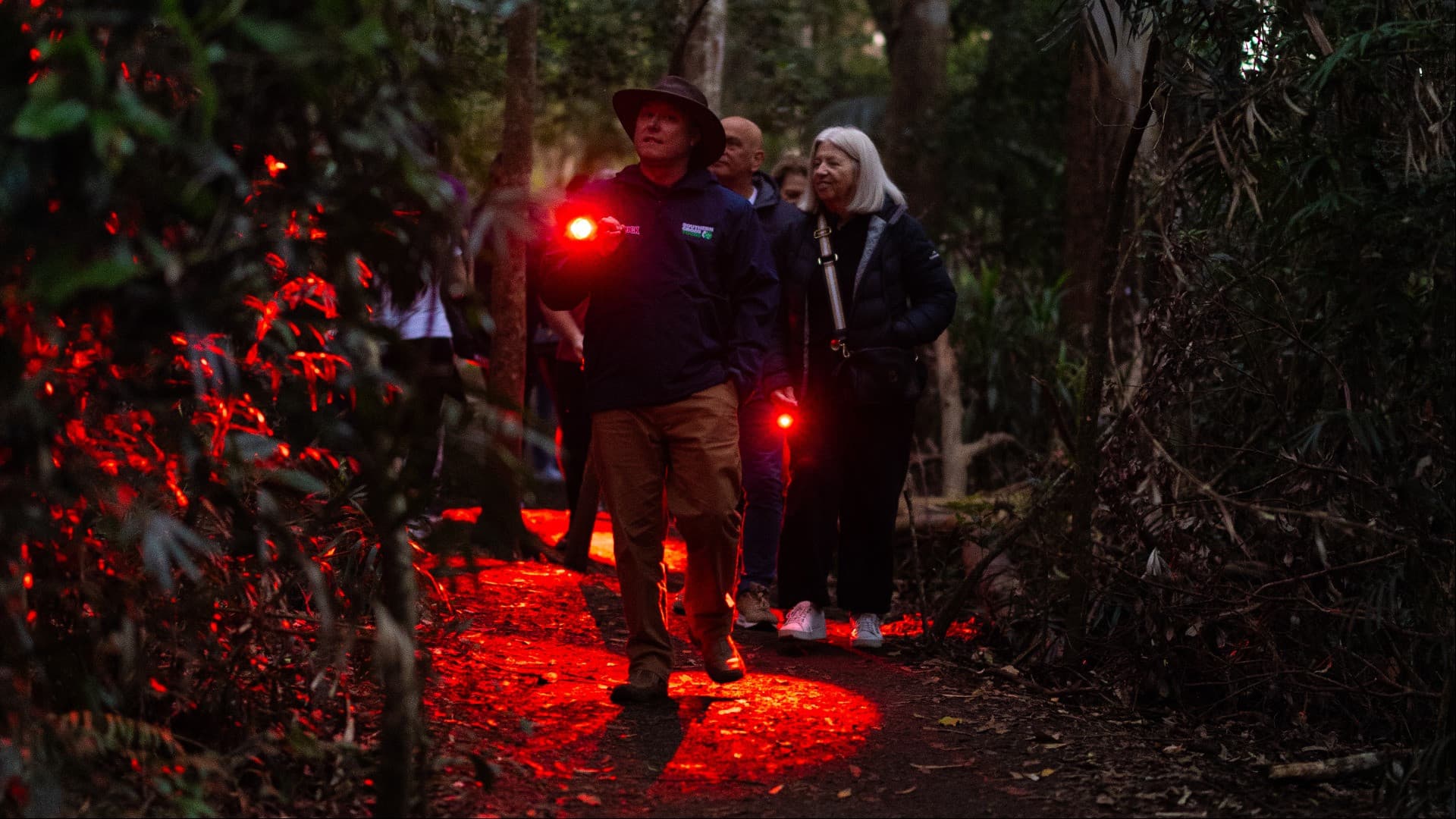 Guided Evening Rainforest Walk and Glow Worms Experience from Gold Coast - image 2