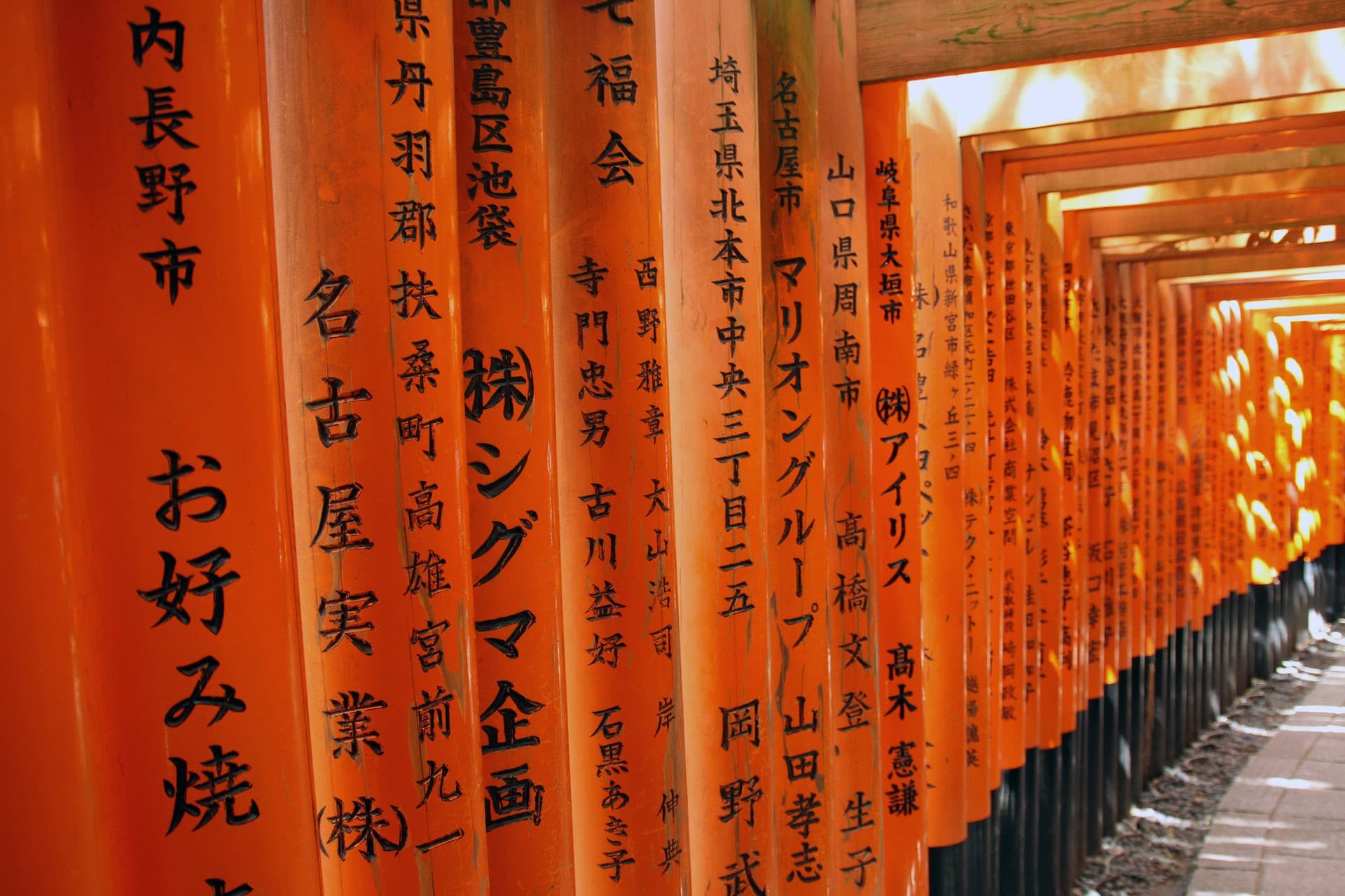 Pase turístico Kyoto-Osaka - imagen 6