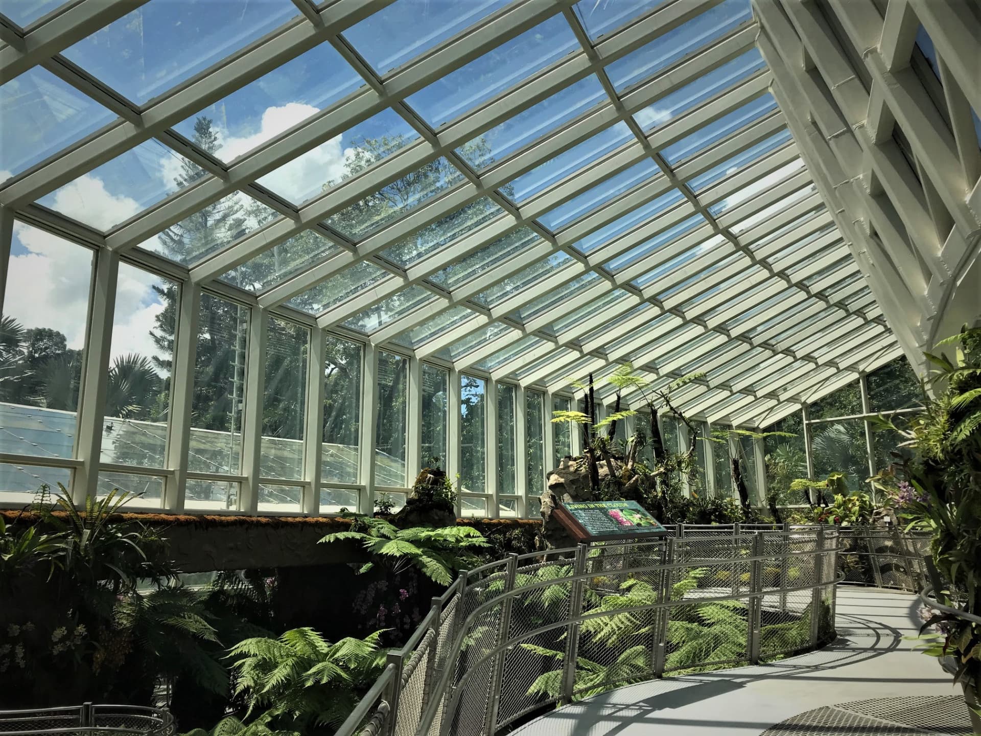 National Orchid Garden Ticket - image 9