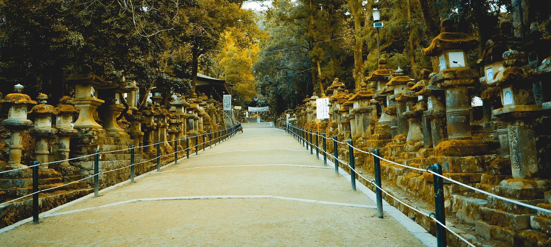 Nara Tour from Kyoto - 이미지 5