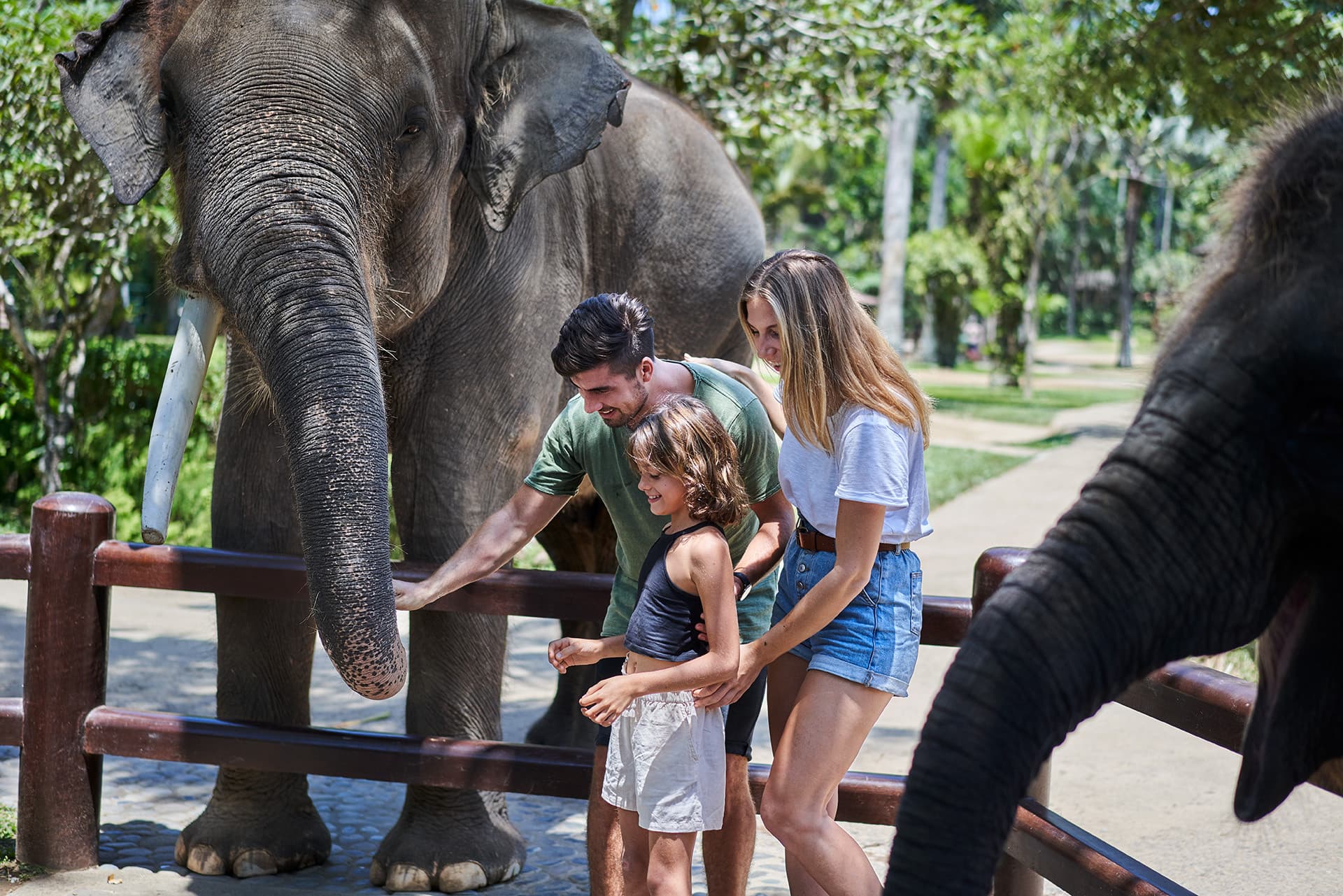 COMBO: Waterbom Bali + Mason Elephant Park Bali Tickets - image 7
