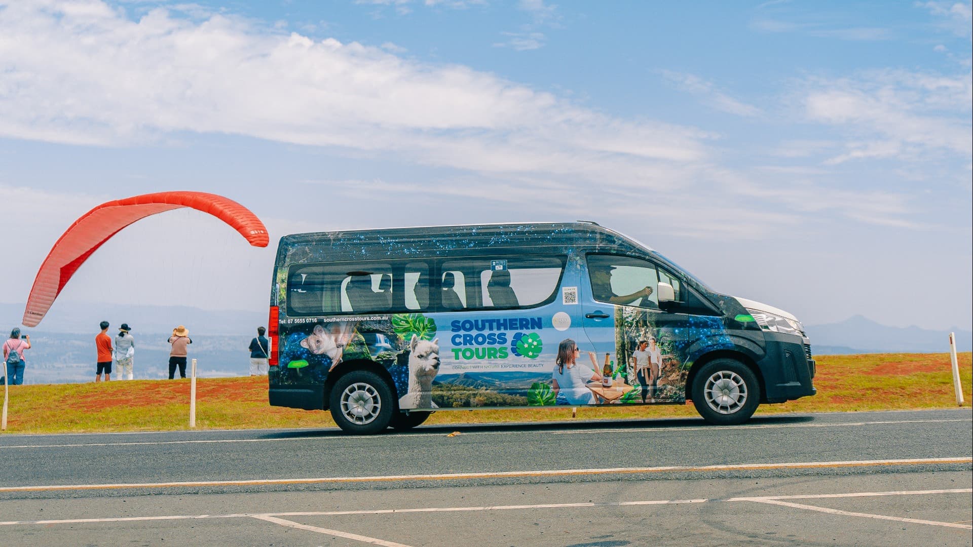Kangaroos and Koalas Tour with Morning Tea from Gold Coast - image 5