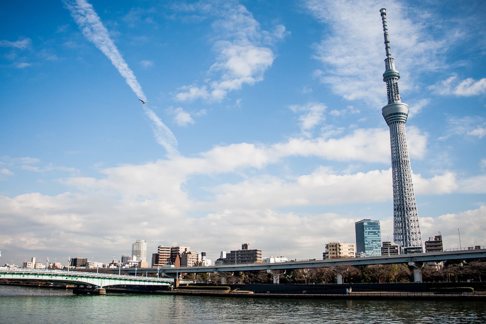 COMBO: Tokyo Skytree + Tembo Galleria Ticket - image 2