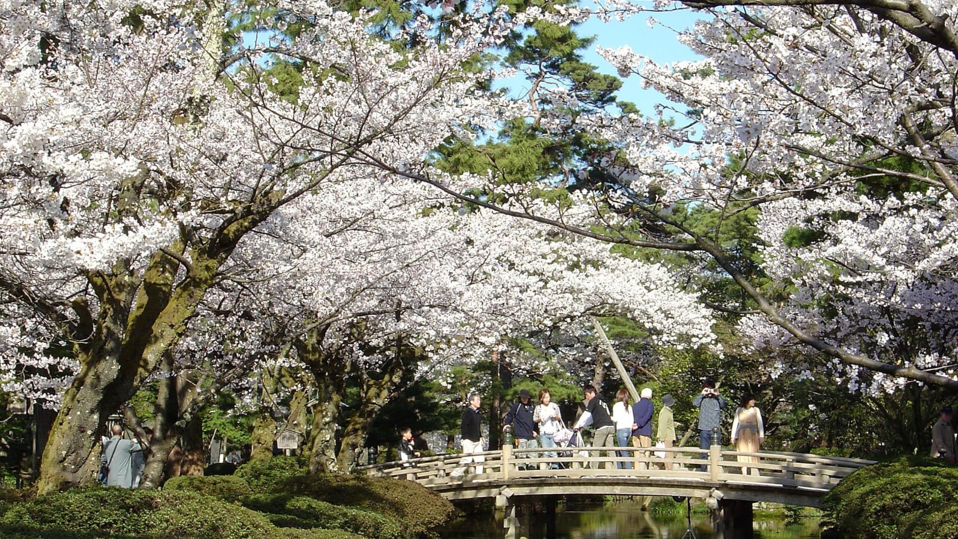 Kenrokuen Garden Ticket - image 3