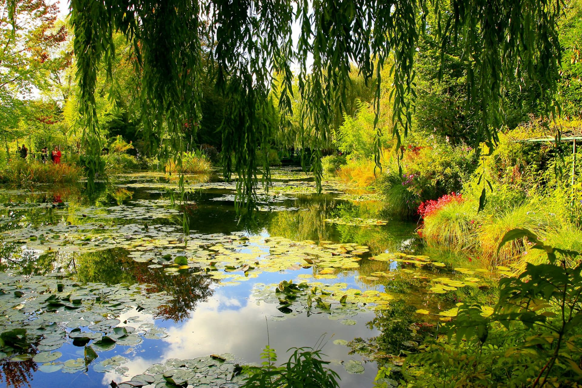 Giverny: Impressionist Day Trip from Paris with Audio Guide - image 8