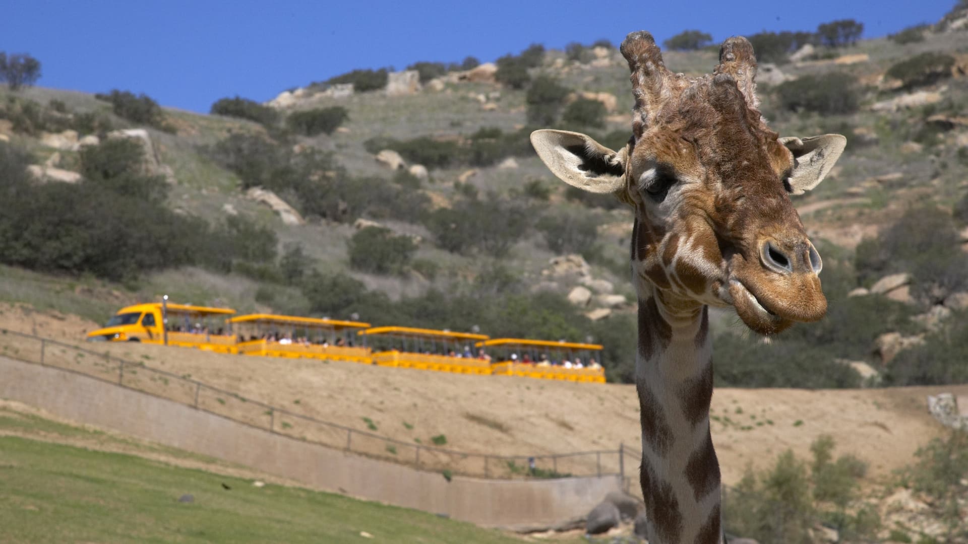 Go City San Diego Explorer Pass: Save up to 50% on Attractions - image 42