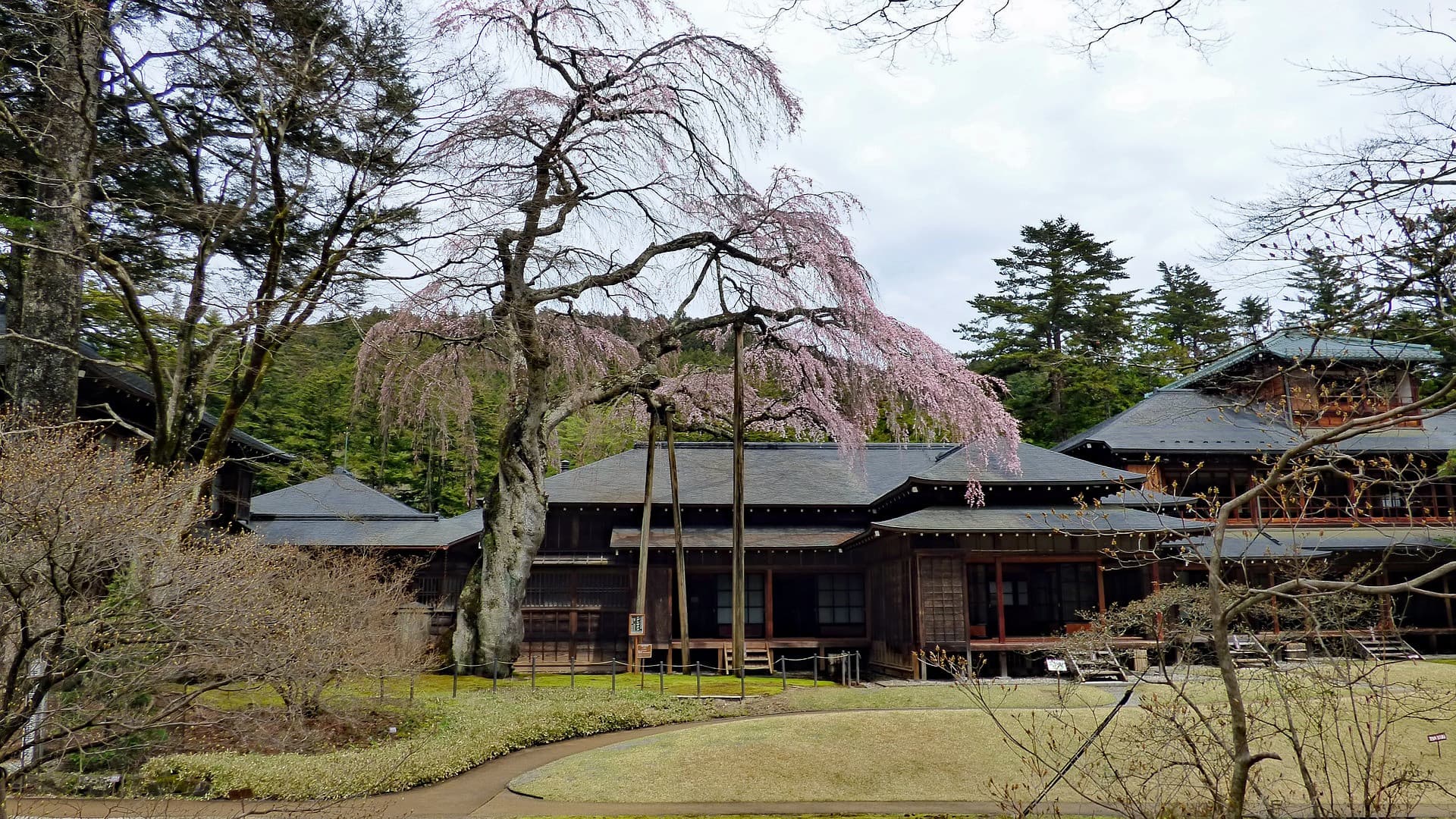 Nikko Pass - World Heritage Area - image 7