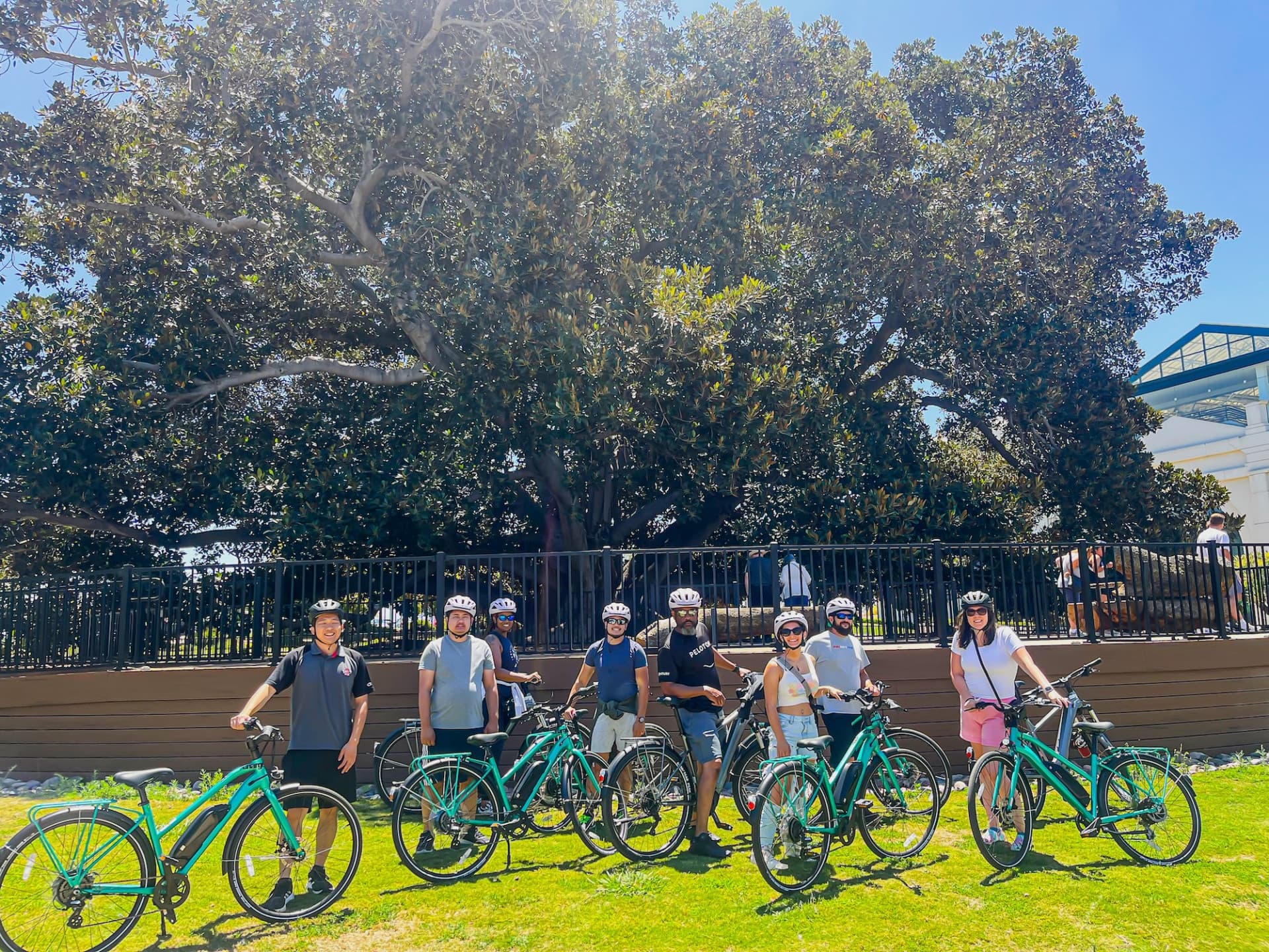 San Diego Bike Rentals - image 6