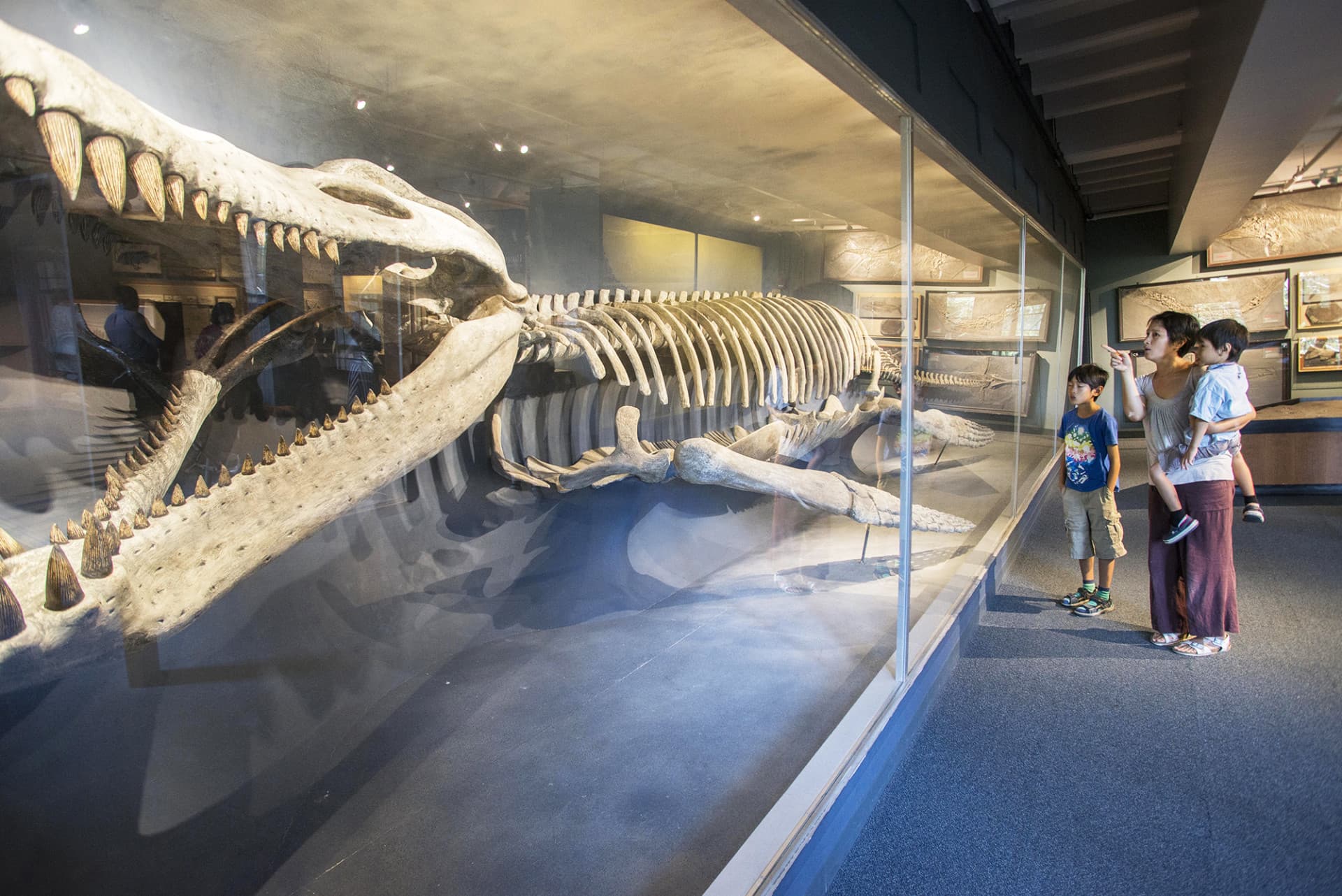 Go City Boston All-Inclusive Pass: Save up to 50% on Attractions - image 26