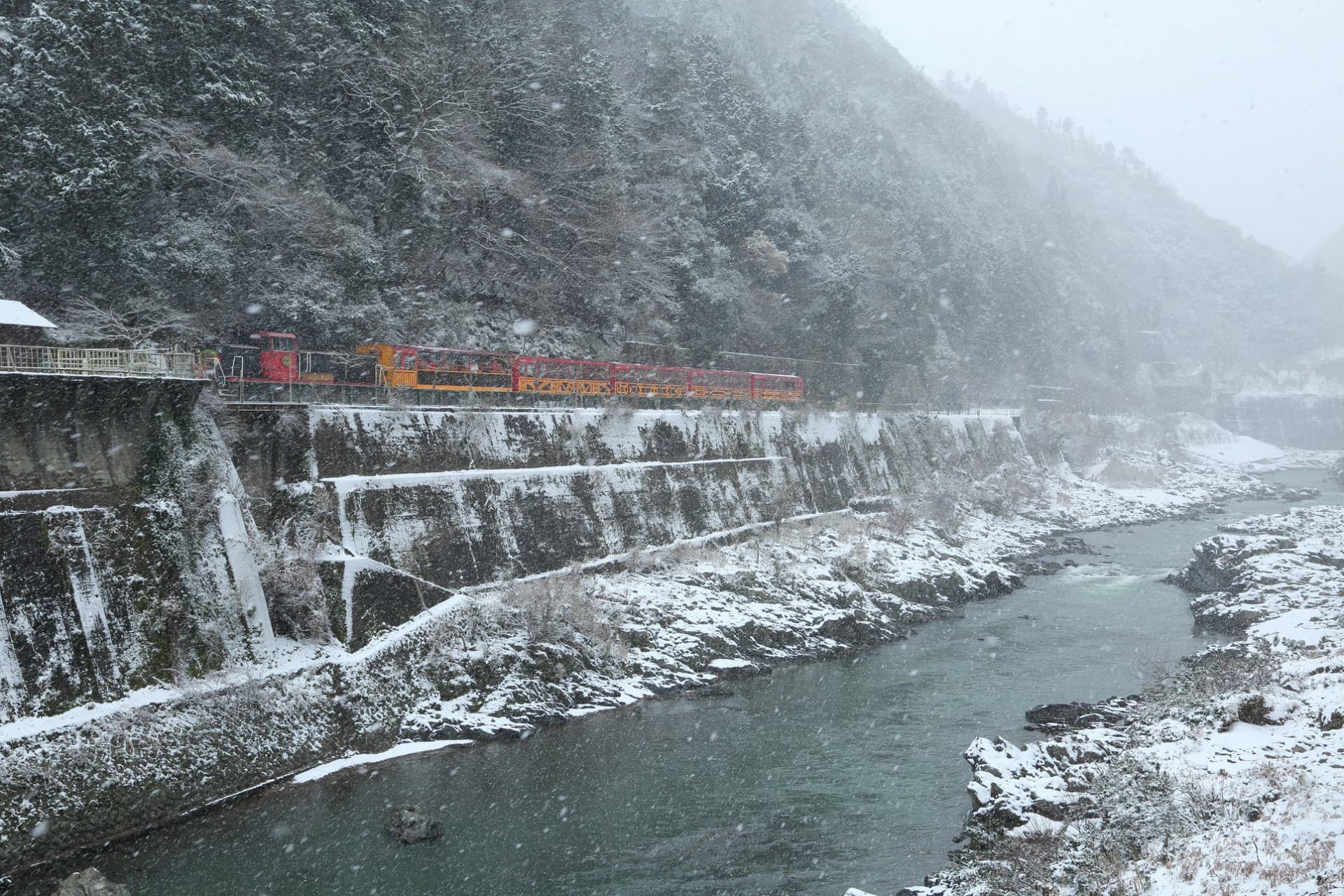 Tren Romántico de Sagano - imagen 25