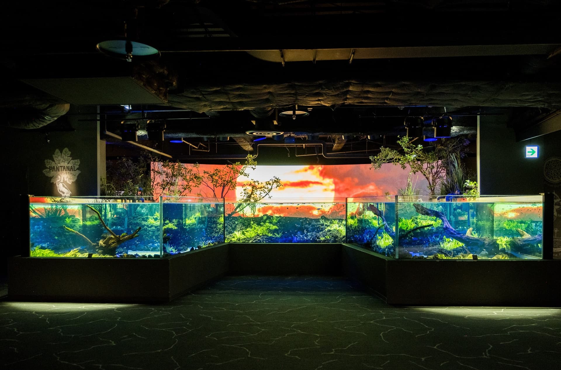 Kawasaki Aquarium Ticket - image 2