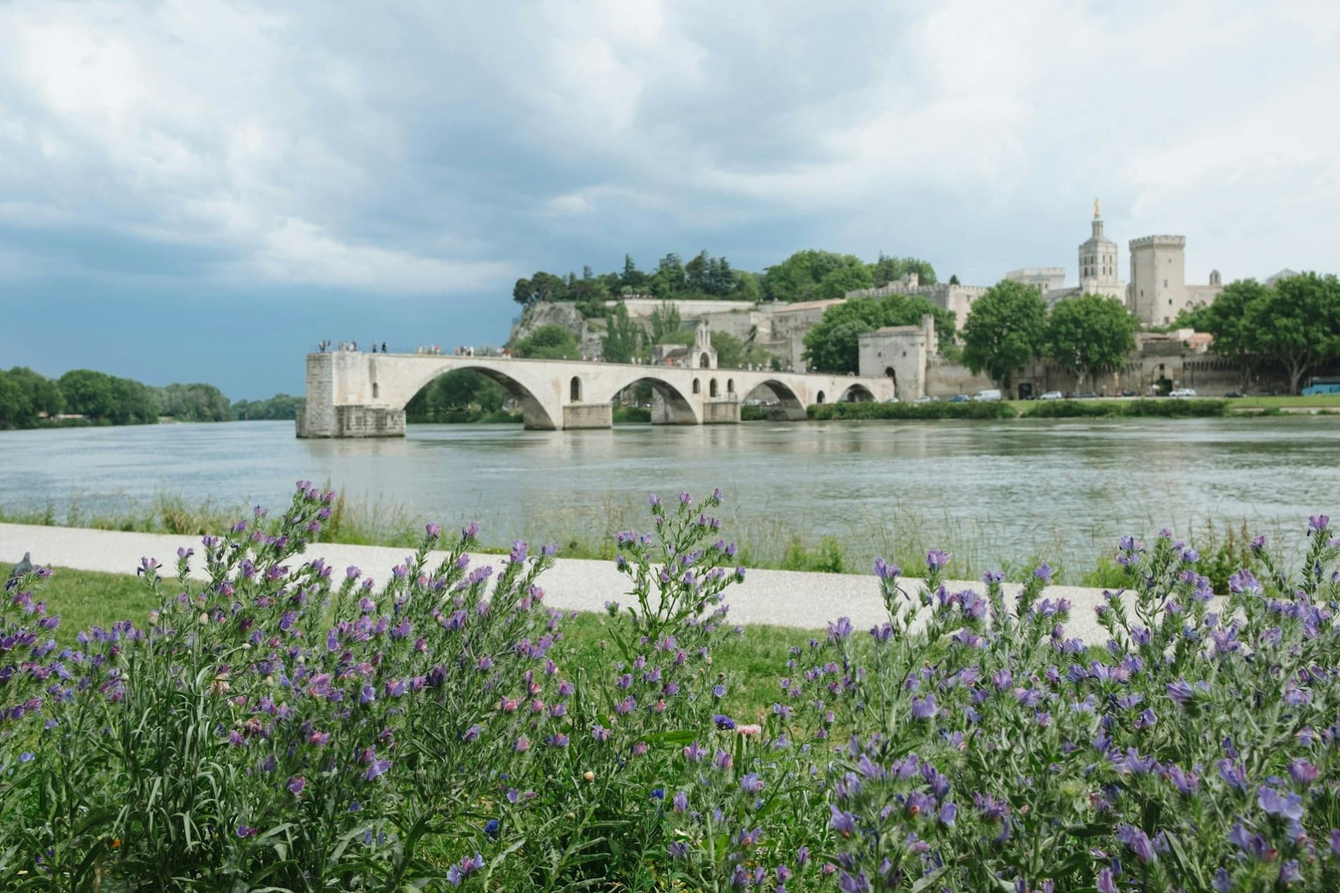 Palace of the Popes and Pont d’Avignon Ticket - image 2