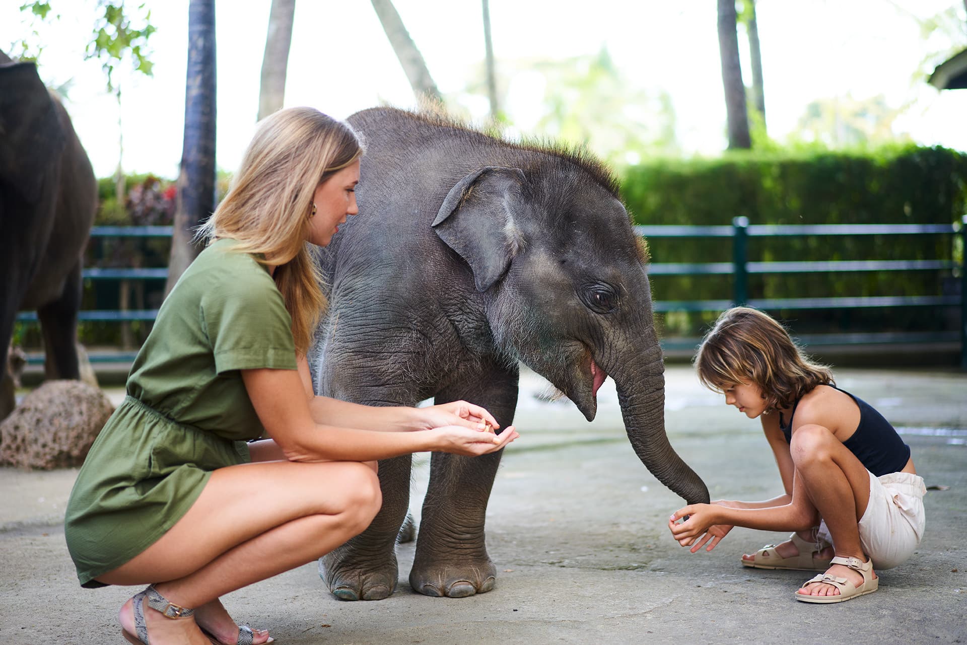 COMBO: Waterbom Bali + Mason Elephant Park Bali Tickets - image 6