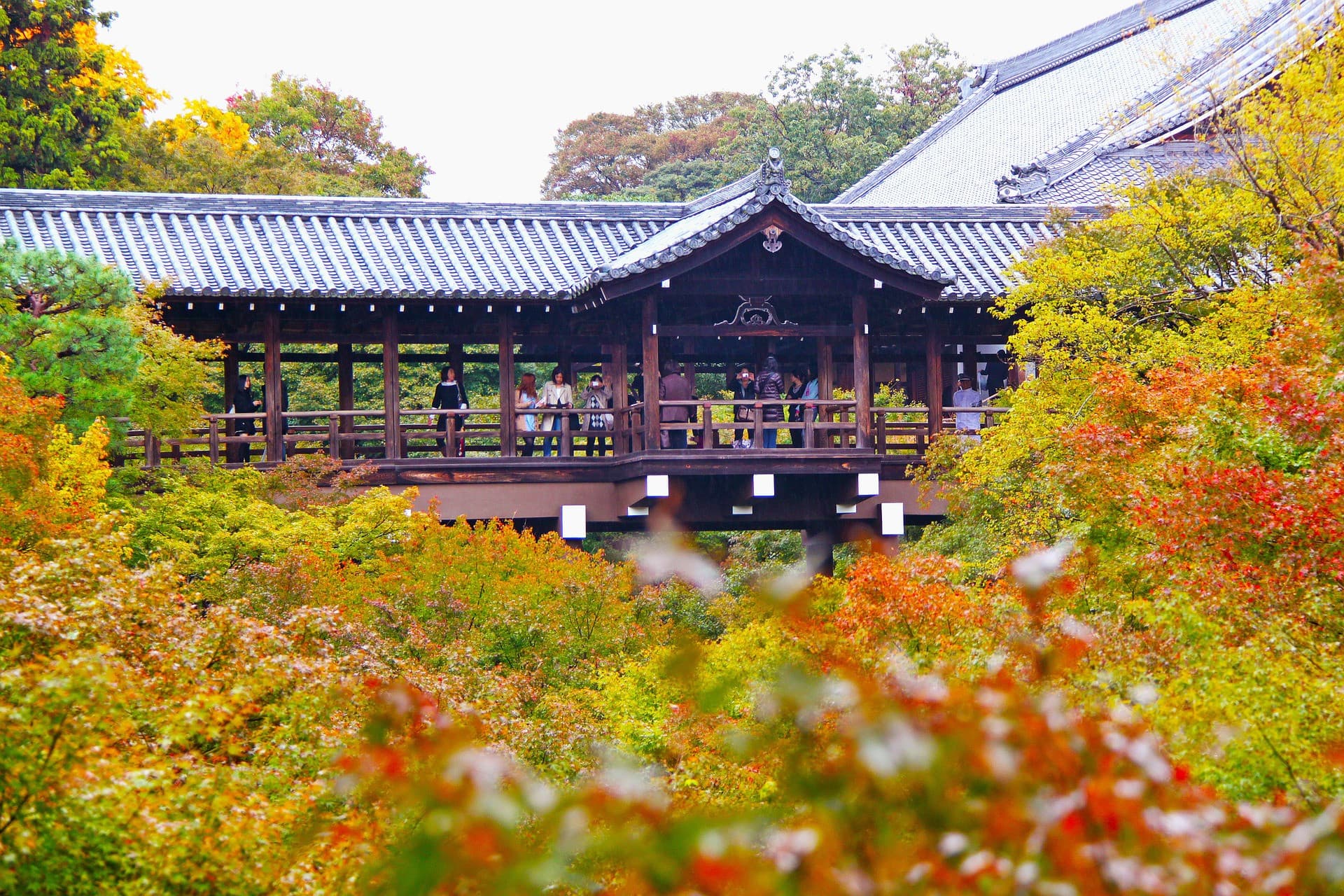 Pase turístico Kyoto-Osaka - imagen 5