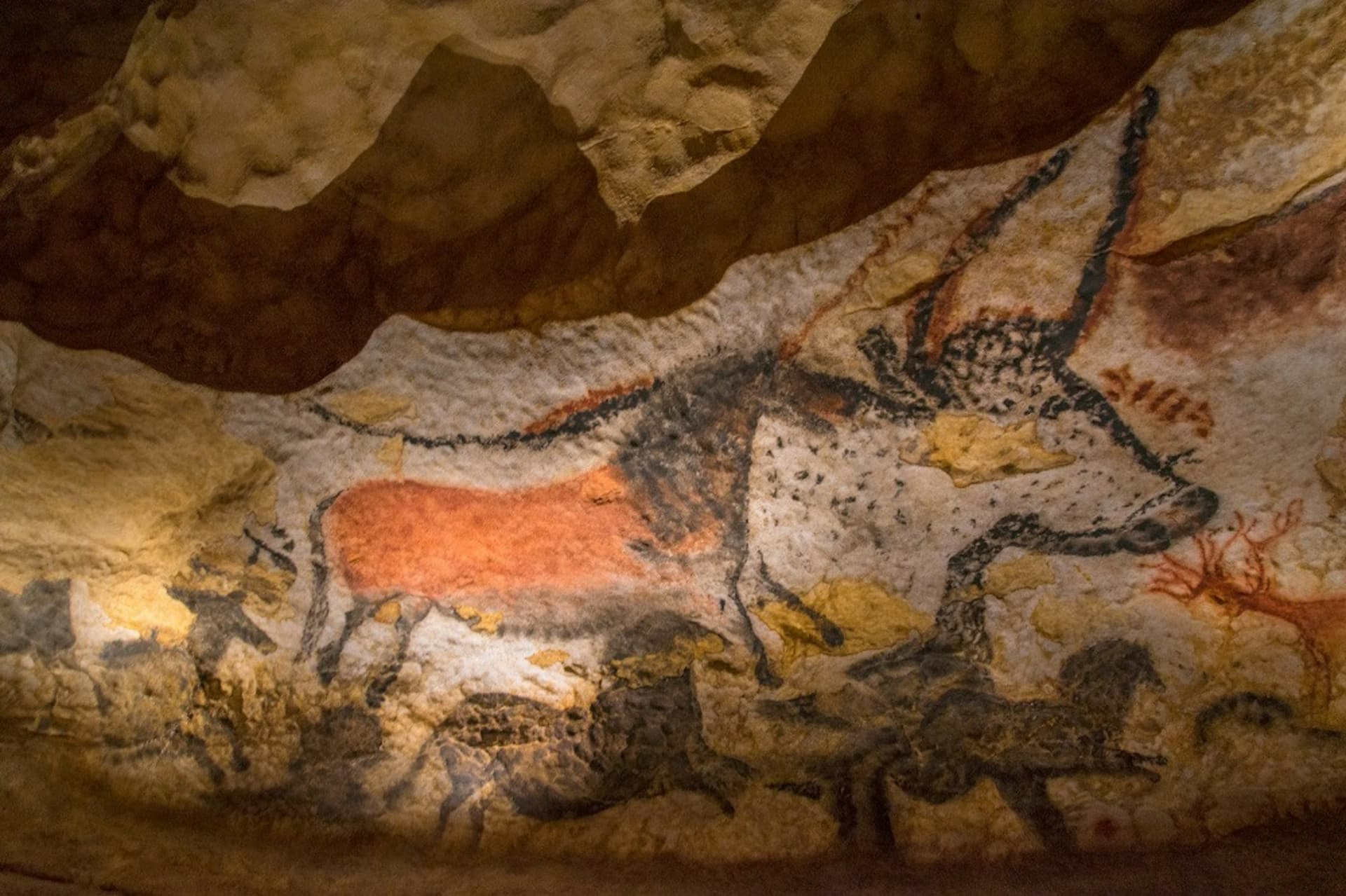 Lascaux II Guided Tour - image 3