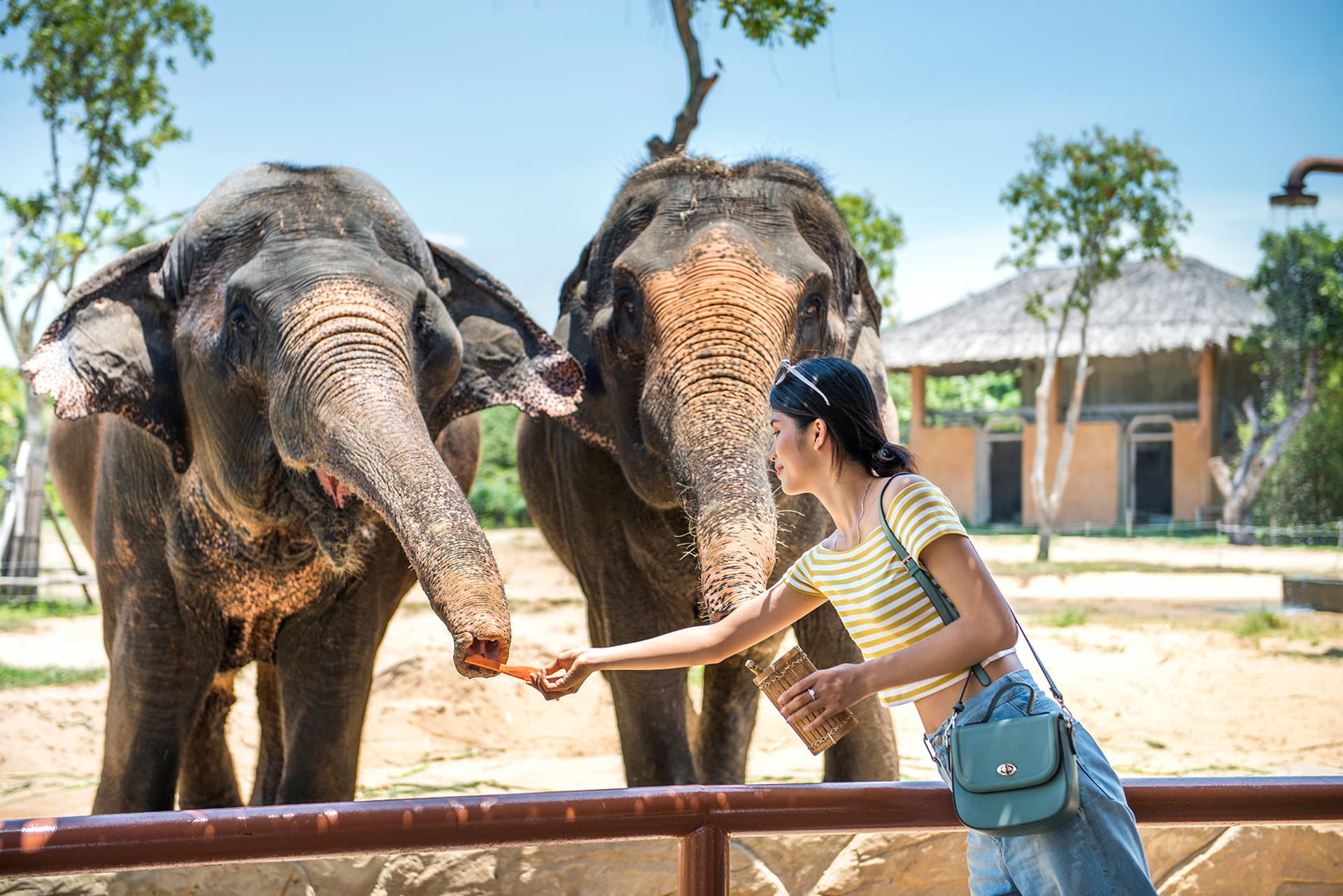 VinWonders Nam Hoi An Amusement Park Ticket - image 10