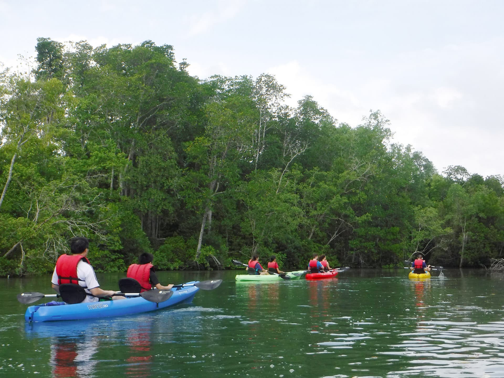 Pulau Ubin Kayaking - image 3