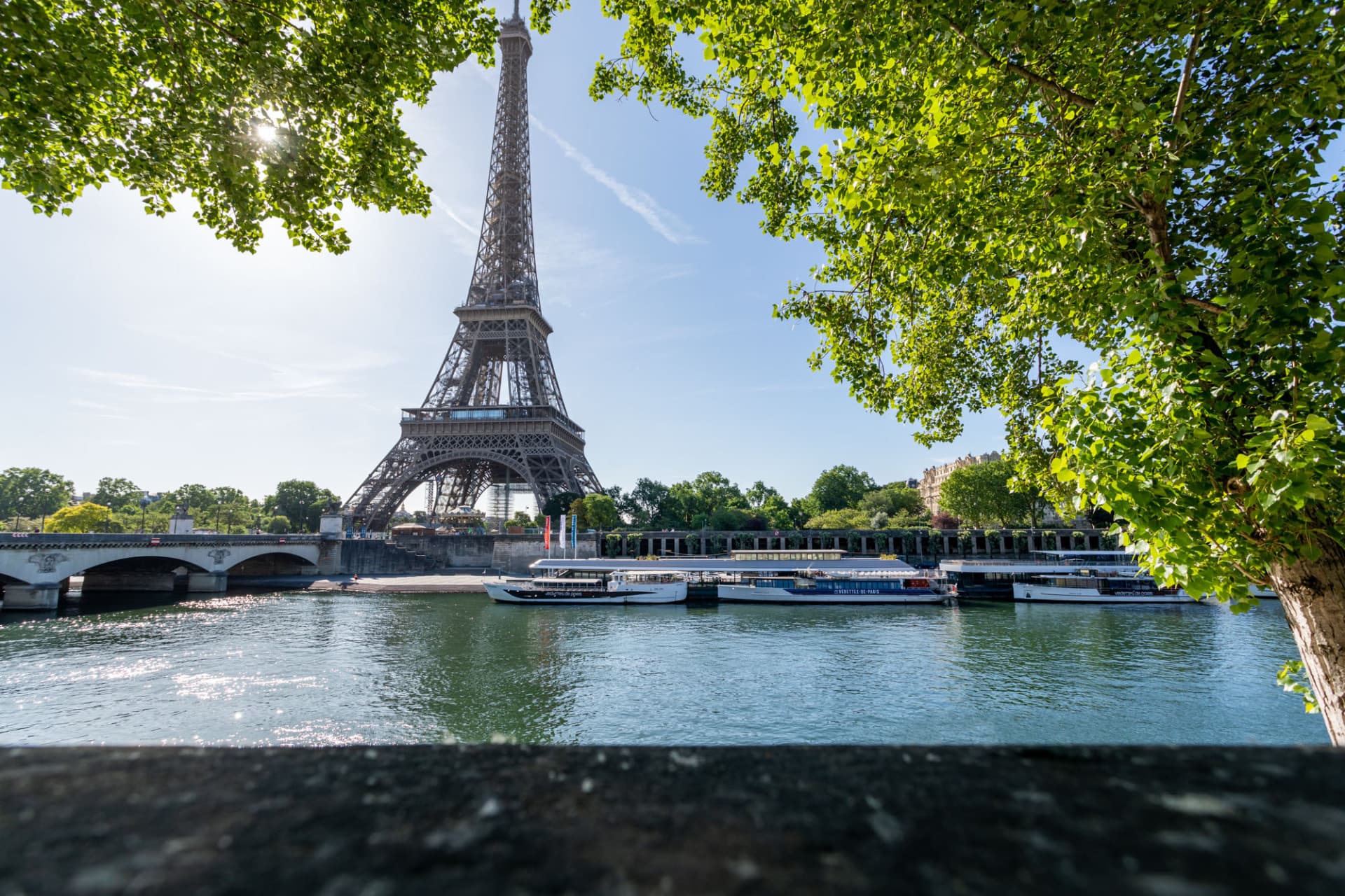 Seine River Cruise by Vedettes De Paris - image 2