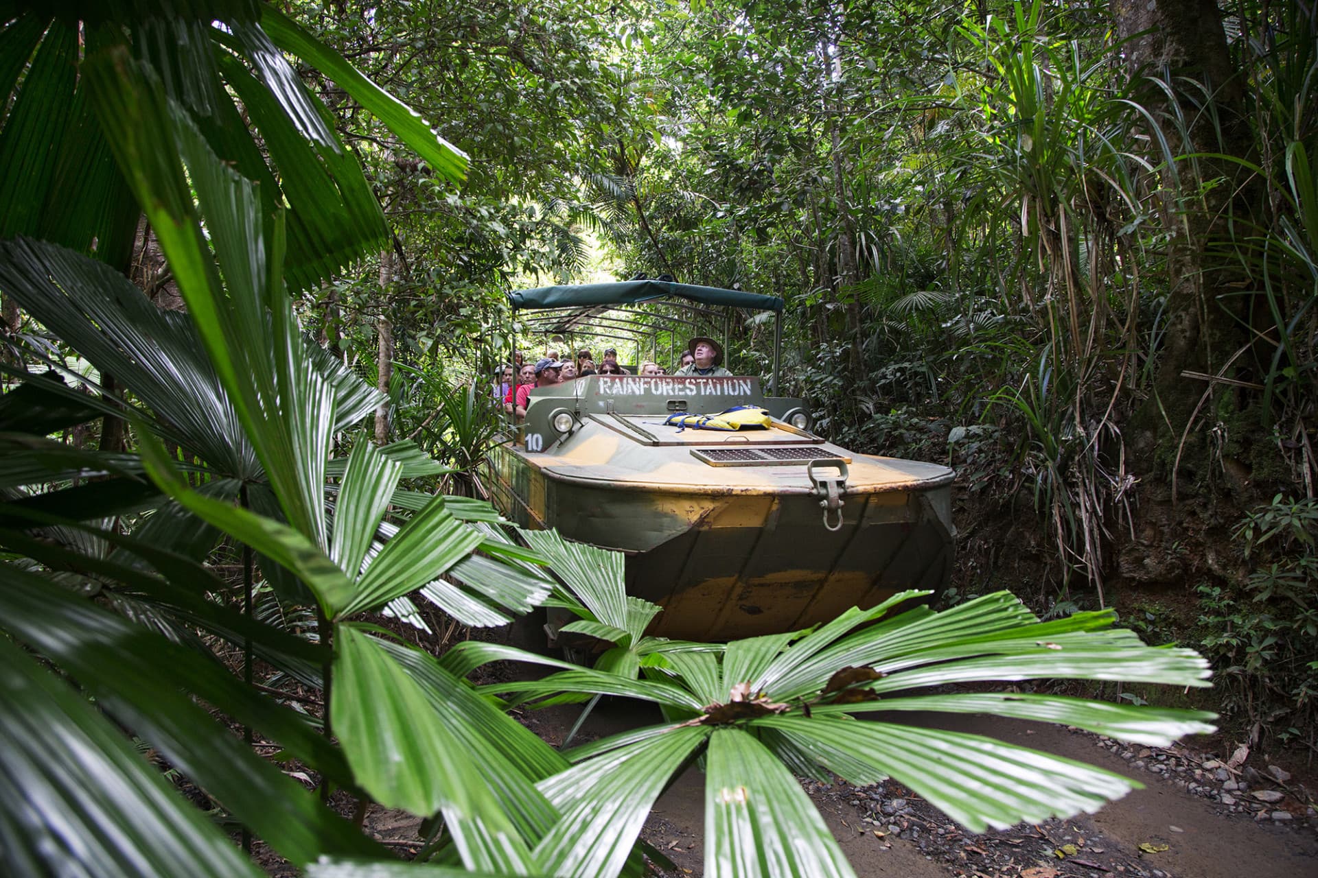 Kuranda Rainforestation Nature Park Full-Day Tour from Cairns with Skyrail Rainforest Cableway - image 5