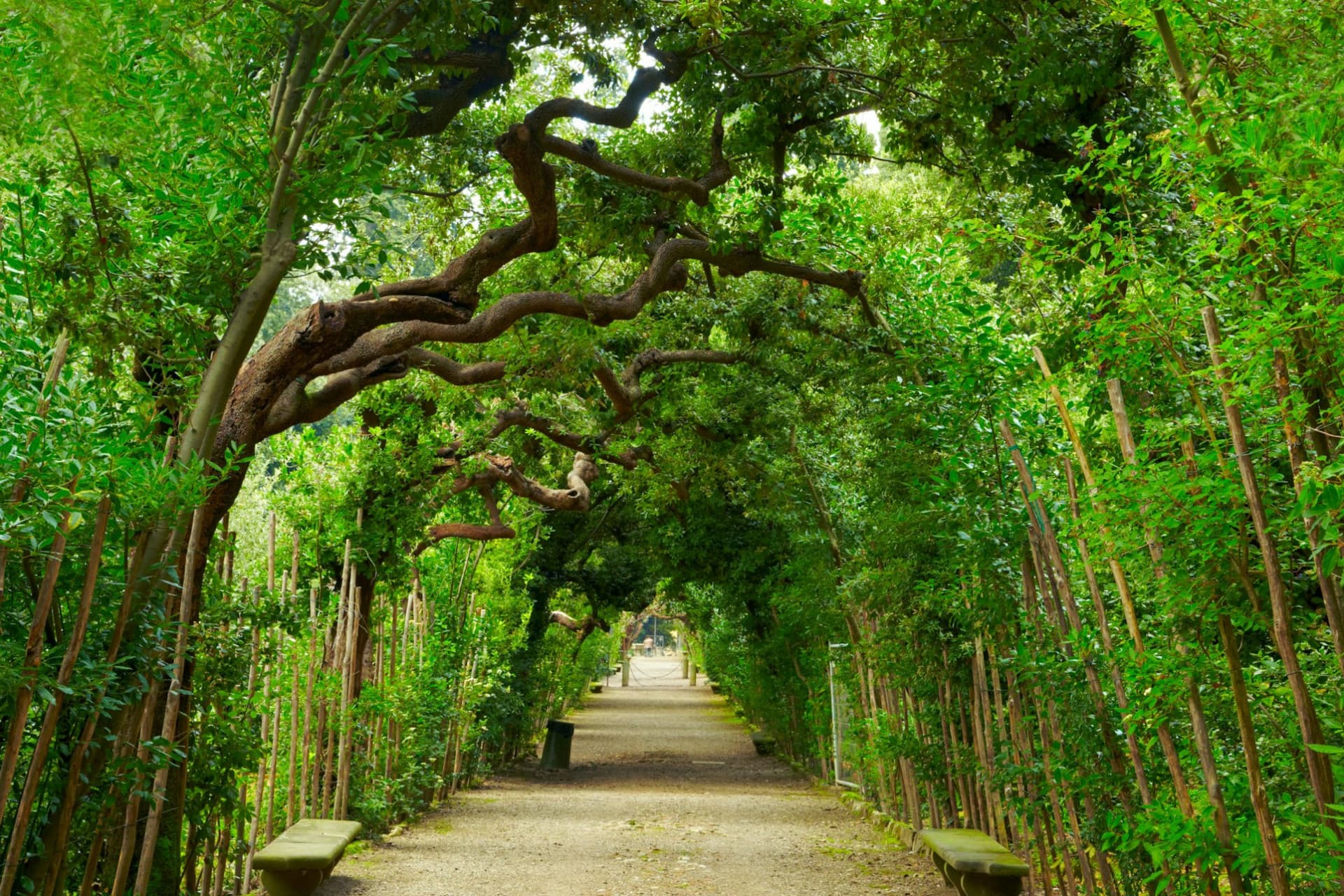Palazzo Pitti y jardines de Boboli: entrada reservada + audioguía de Florencia - imagen 2