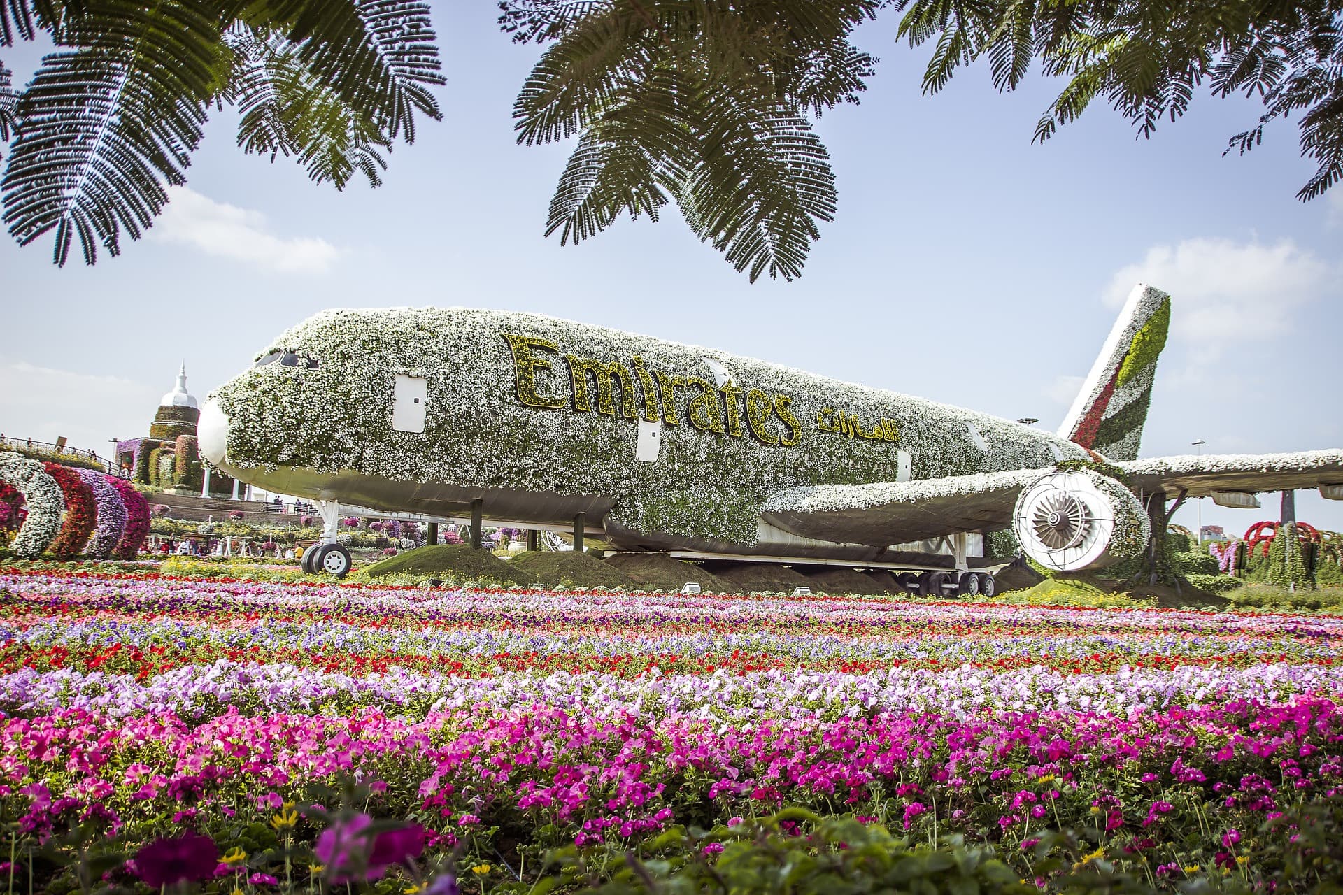 COMBO: Dubai Miracle Garden + Global Village Dubai Tickets - image 3