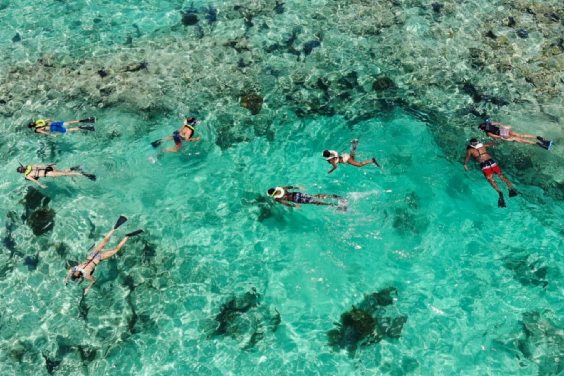 Day Trip to Key West from Miami with Optional Activities - image 15