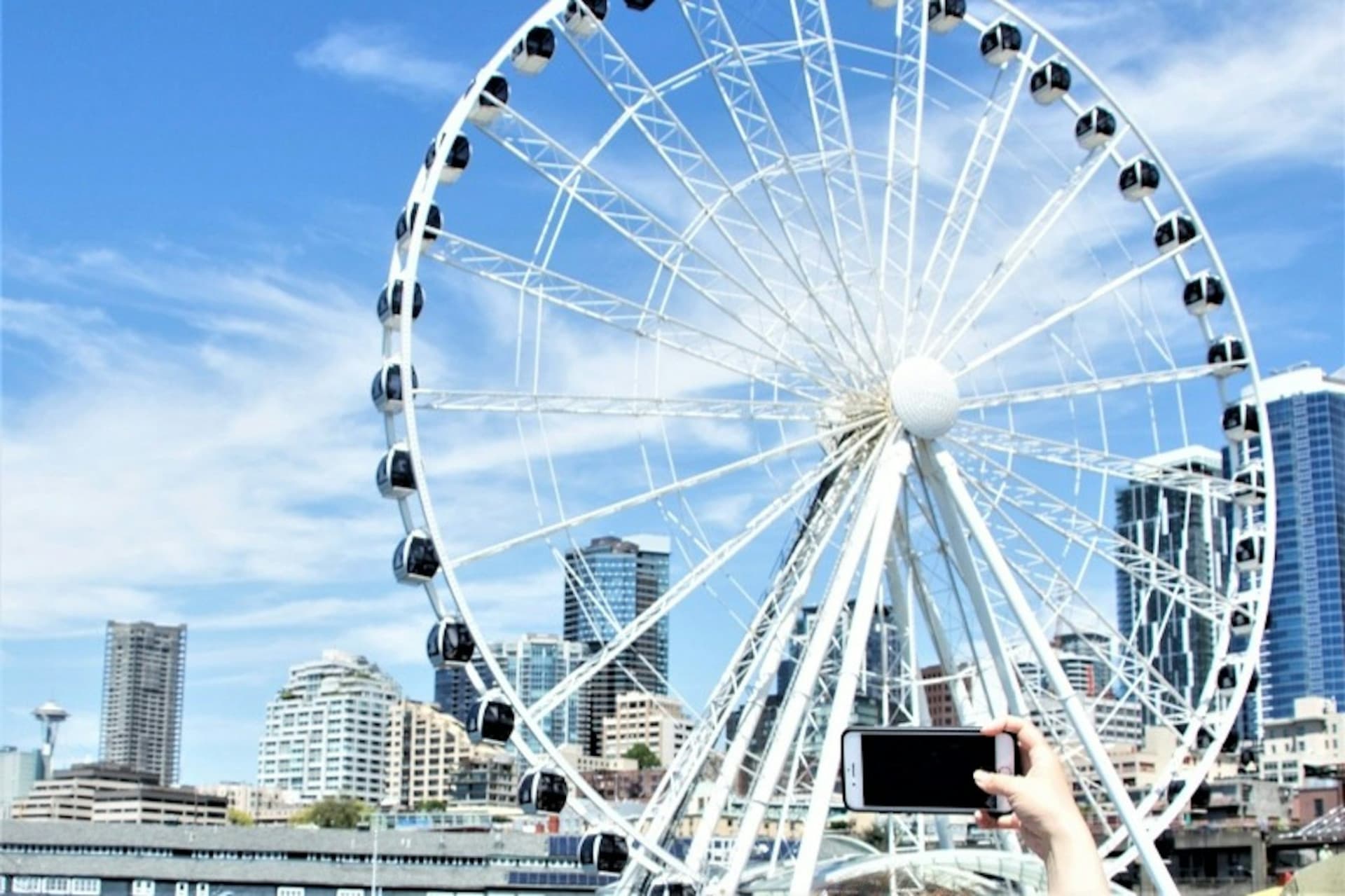 Crucero por el puerto de Seattle - imagen 7