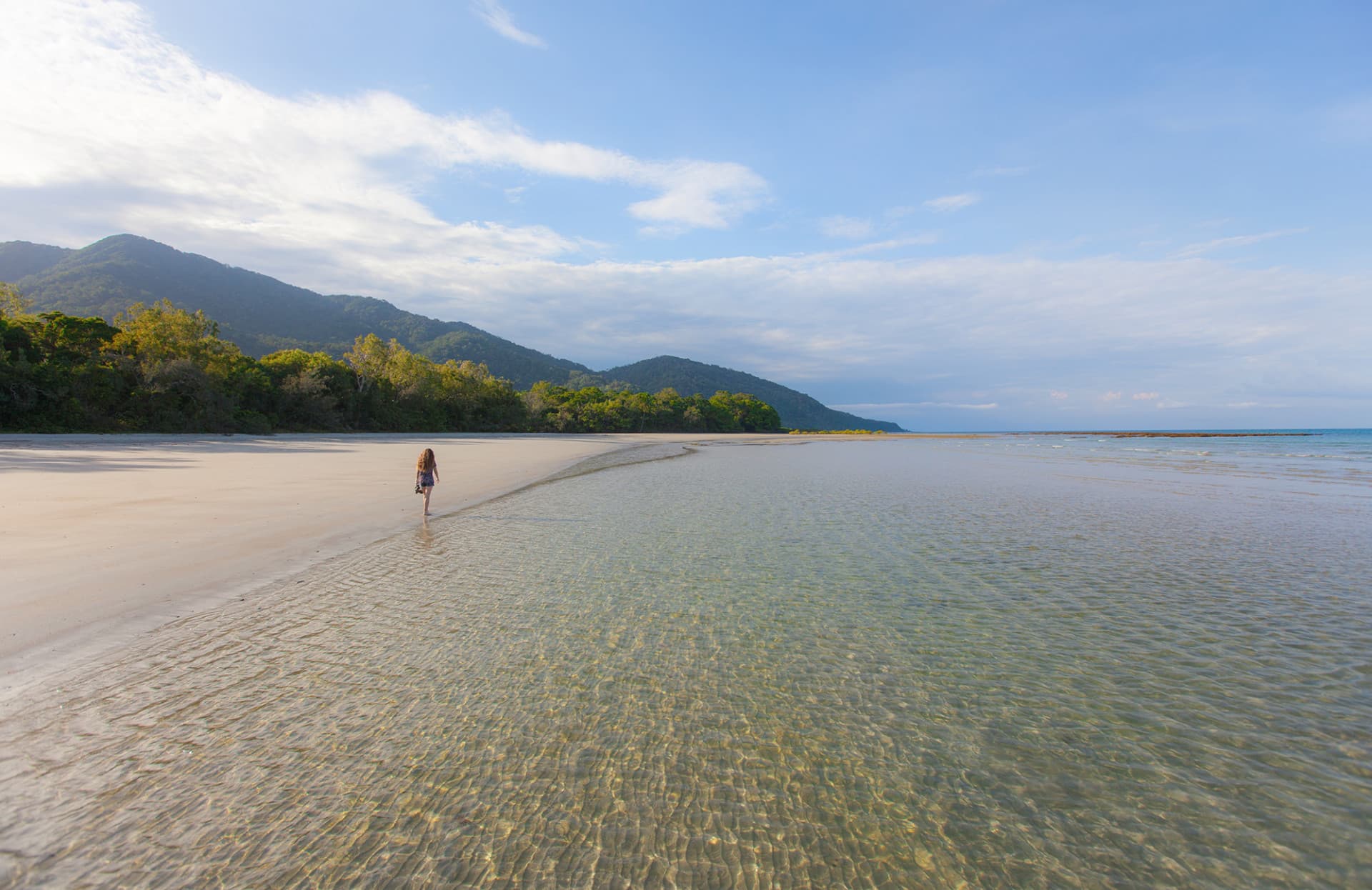 Cape Tribulation and Daintree Wilderness Full-Day Tour - image 2