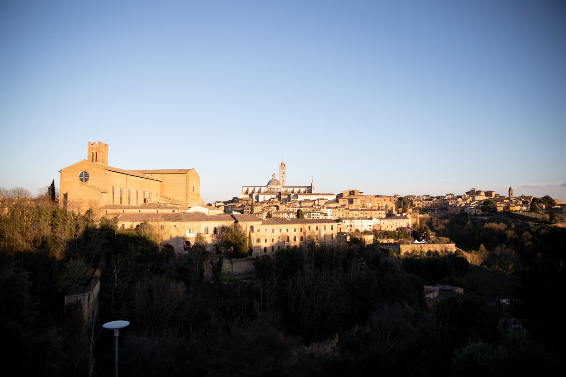 Tuscany Full-Day Tour from Florence: Pisa, Chianti, San Gimignano, Siena - image 13