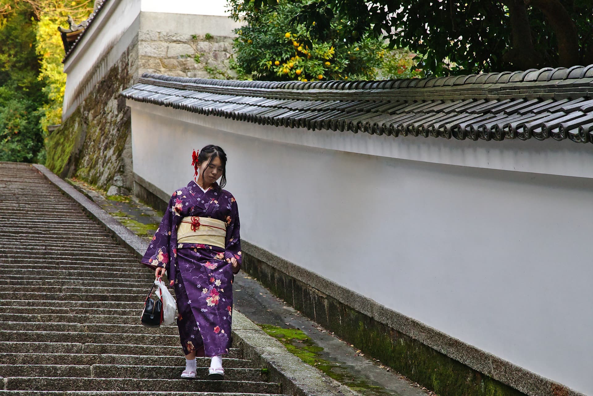 Pase turístico Kyoto-Osaka - imagen 9