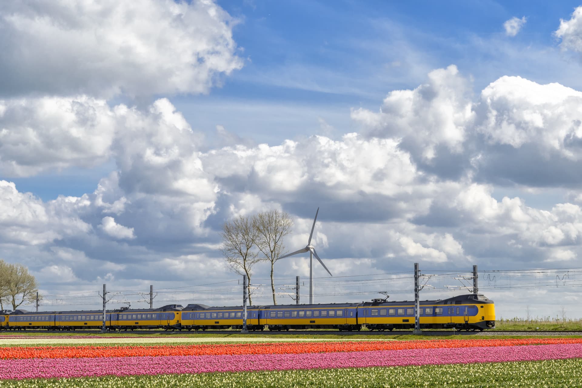 Eurail Global Pass Family Card (Consecutive Days) - image 6