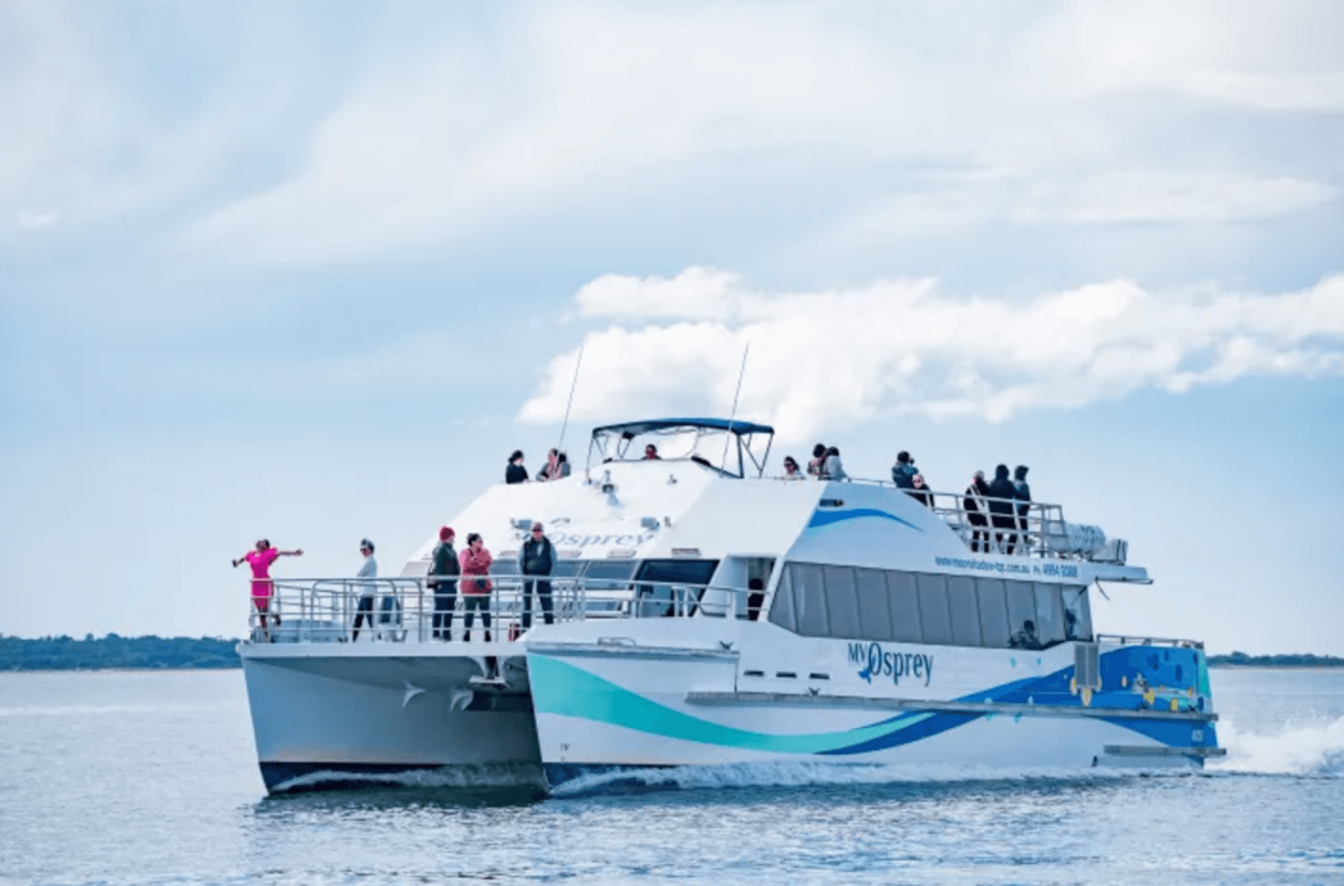 Port Stephens Dolphin Watch and Eco Adventure Cruise - imagen principal