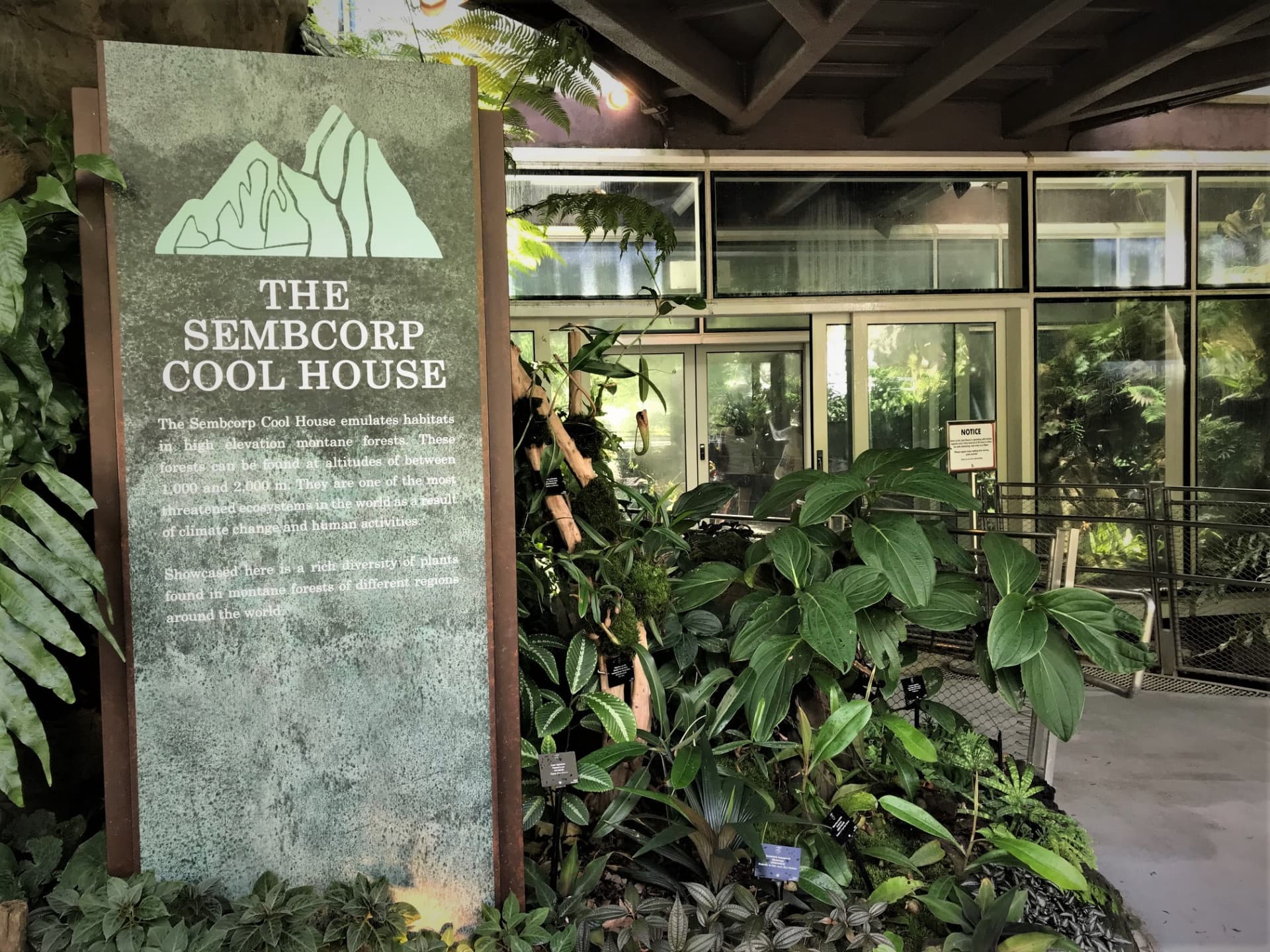 National Orchid Garden Ticket - image 8